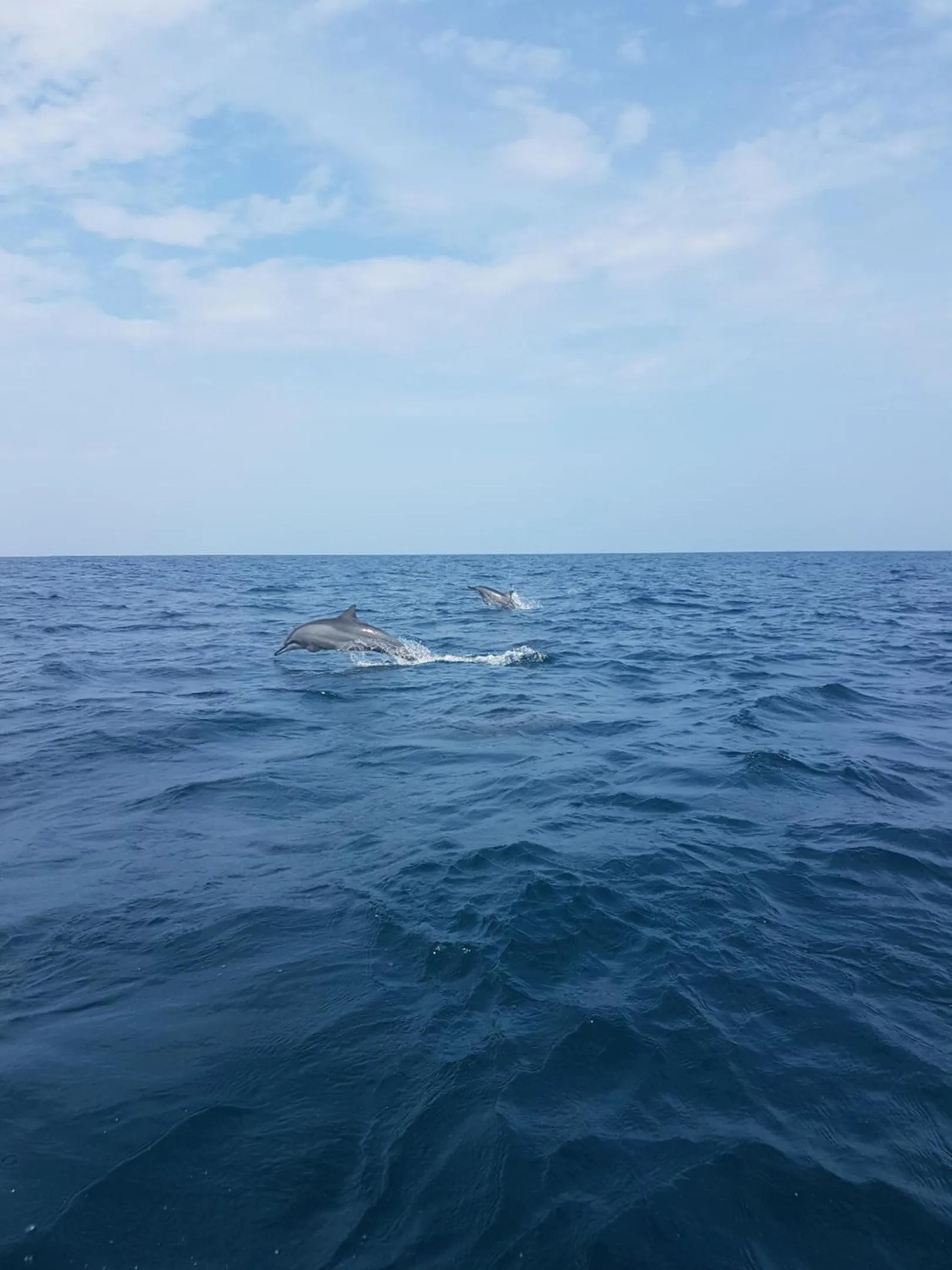 Wellé Wadiya Beach Villa