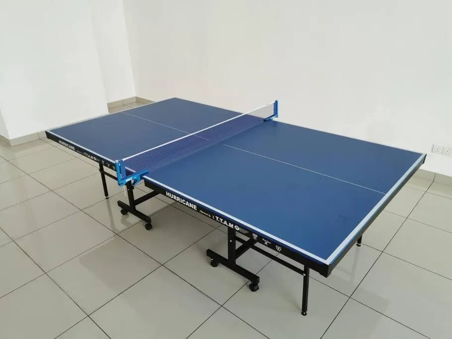 Skyview 0505 6Pax Aeon Lego netlflix 100mbps STAY