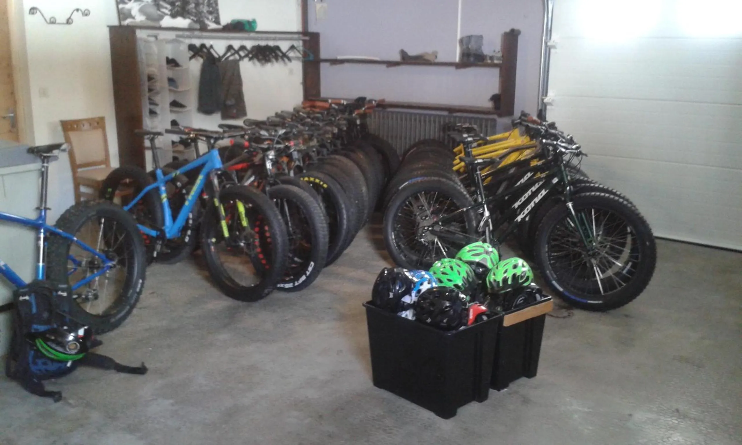 Area and facilities in Hôtel Flor'Alpes