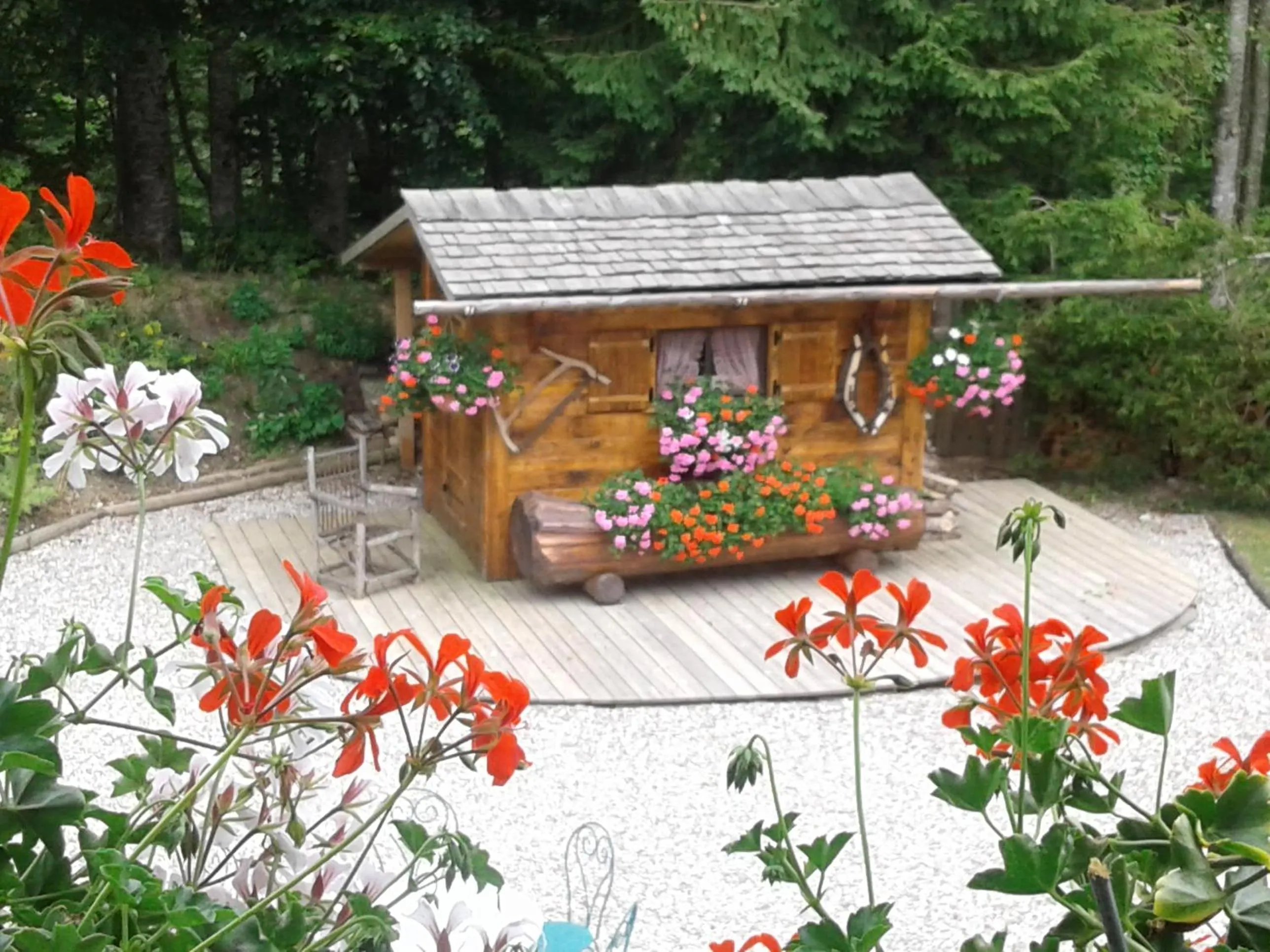 Garden in Hôtel Flor'Alpes