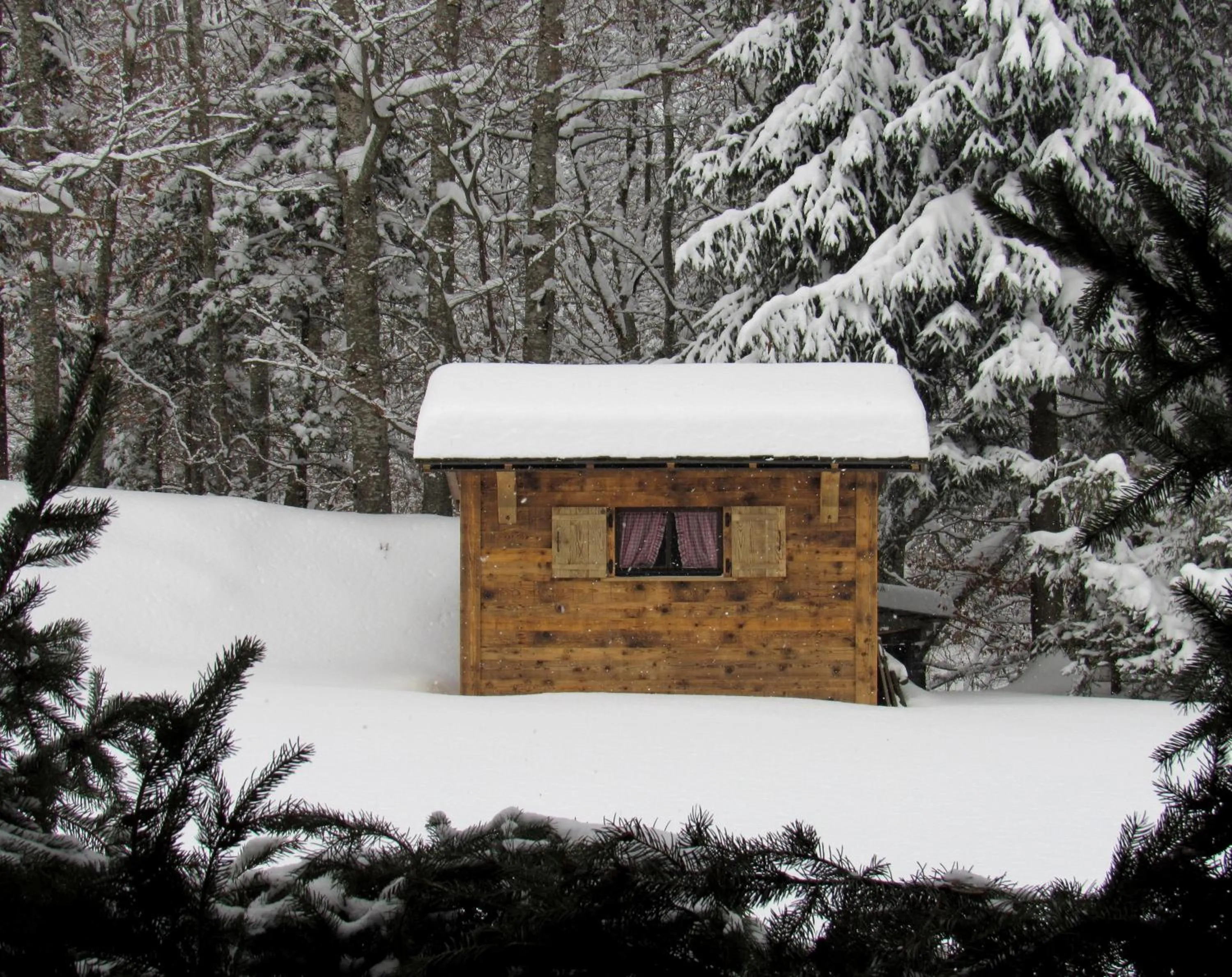 Garden in Hôtel Flor'Alpes