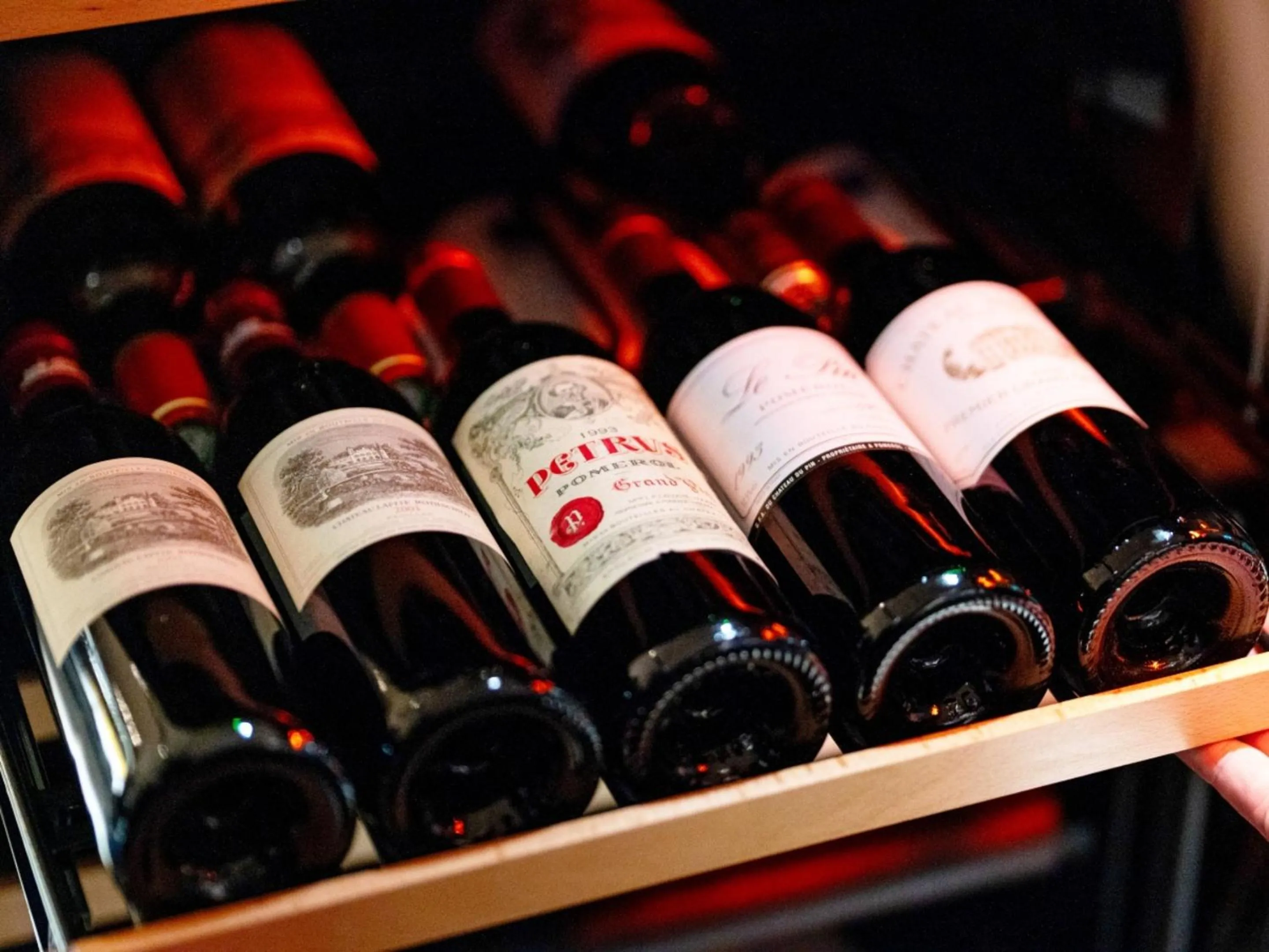 Lounge or bar in FIVE SPRING RESORT THE SHIRAHAMA