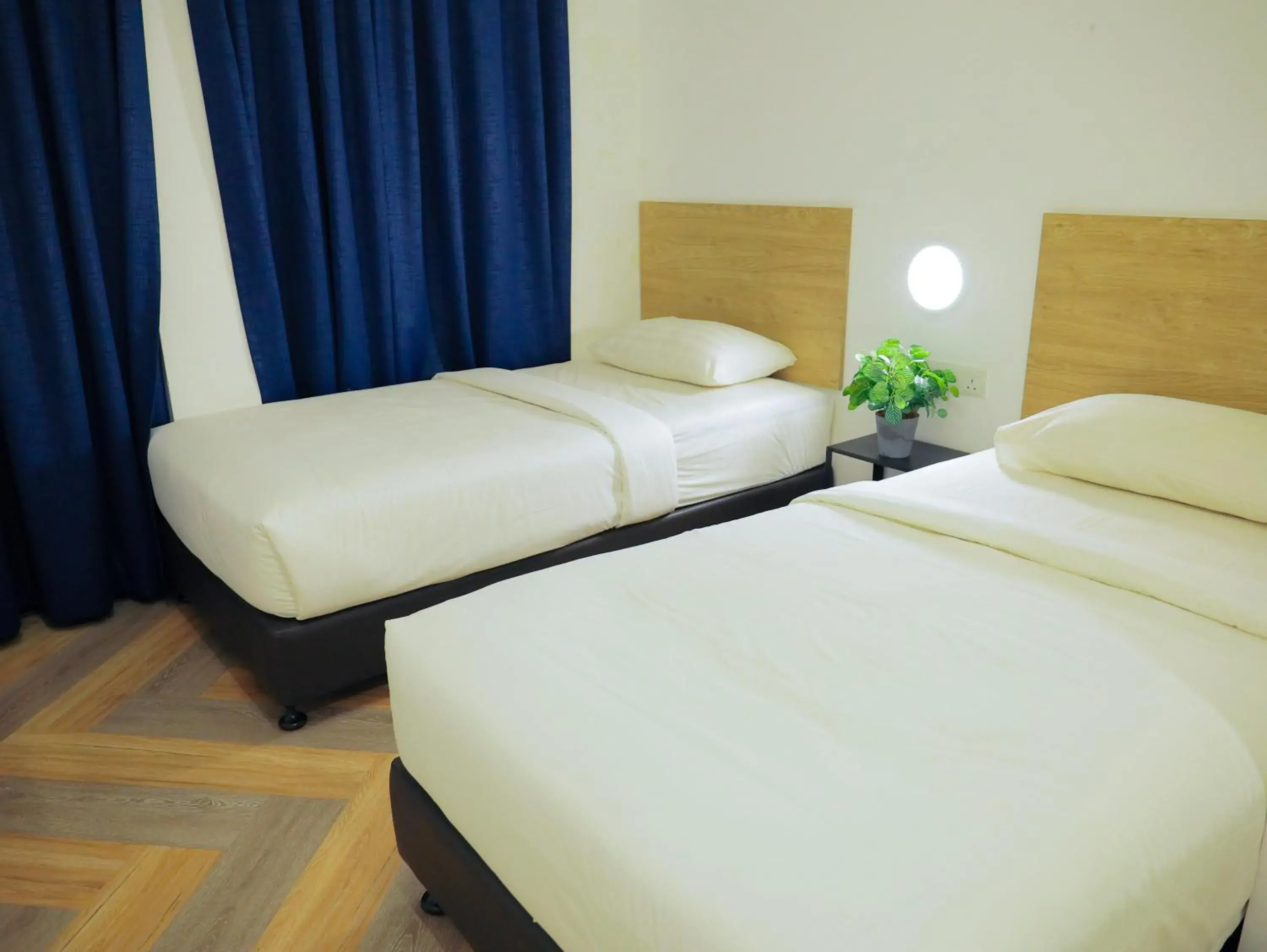 Twin Room in BIG TREE HOTEL Twin Room in BIG TREE HOTEL