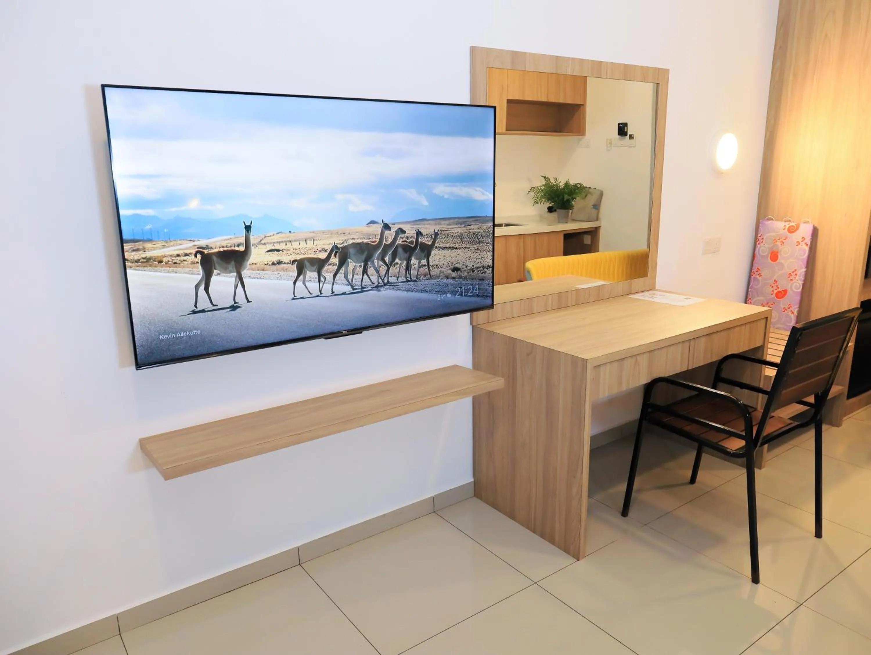 TV and multimedia in BIG TREE HOTEL