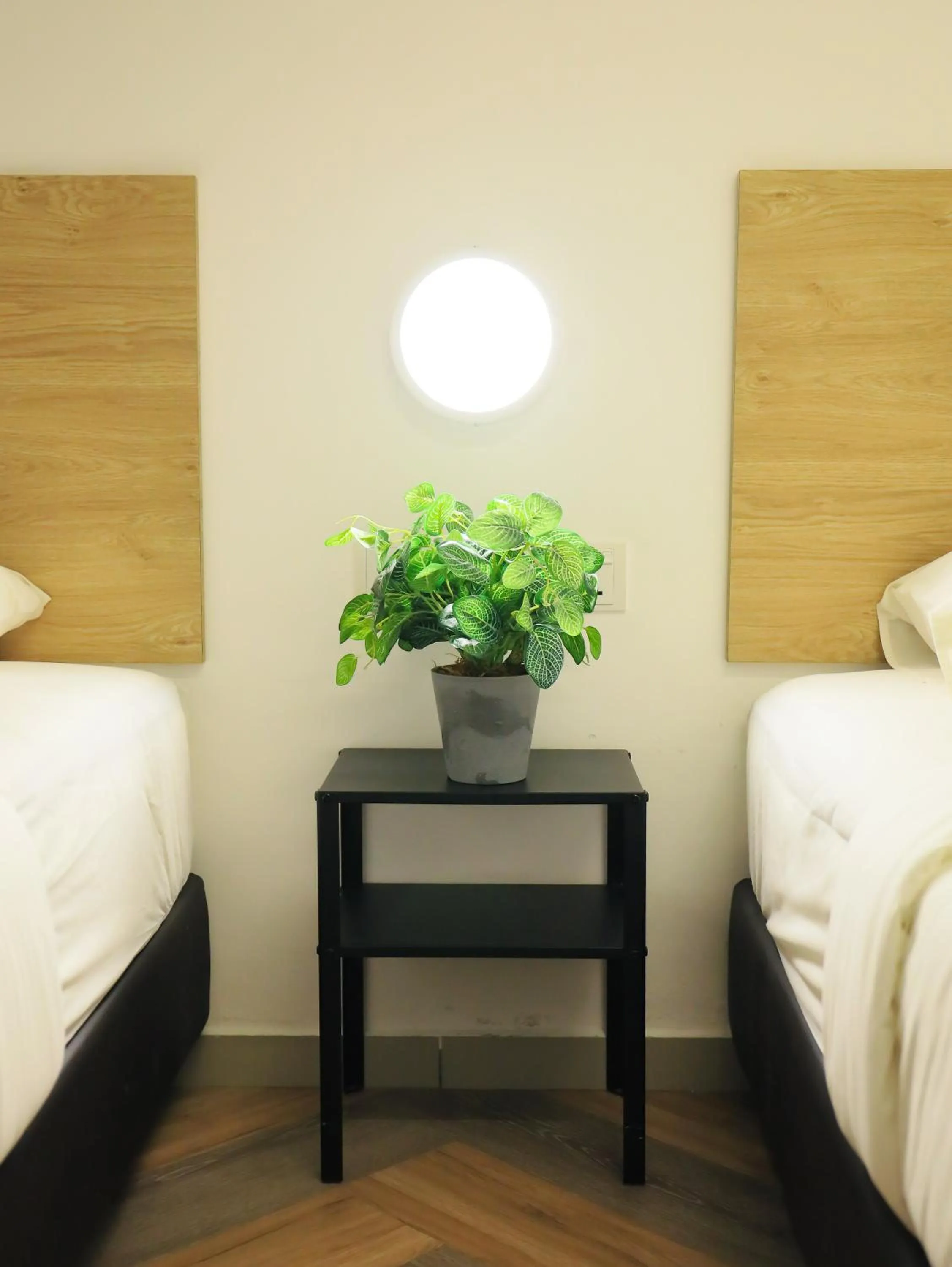 Bed in BIG TREE HOTEL