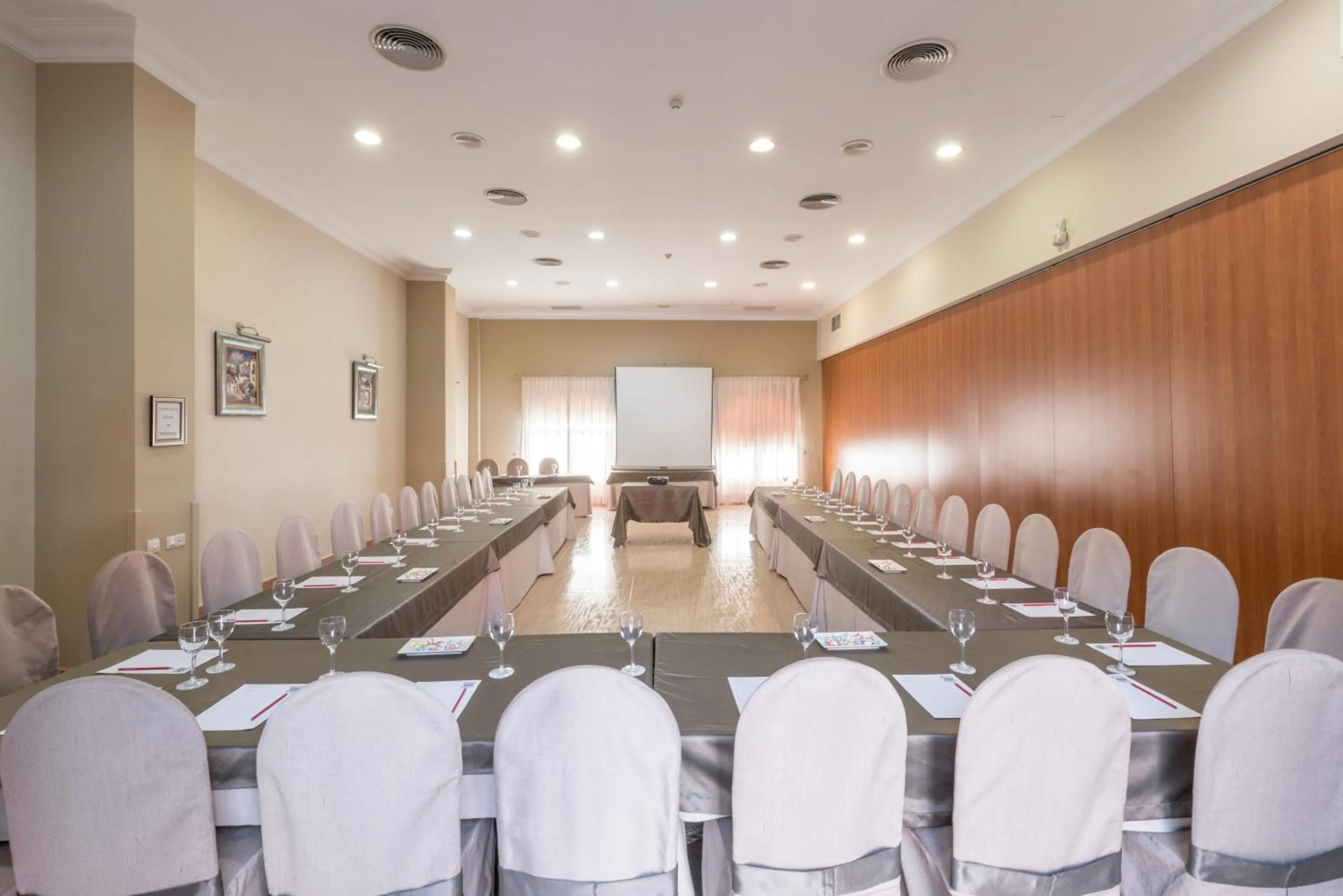 Business facilities in Hotel Romerito