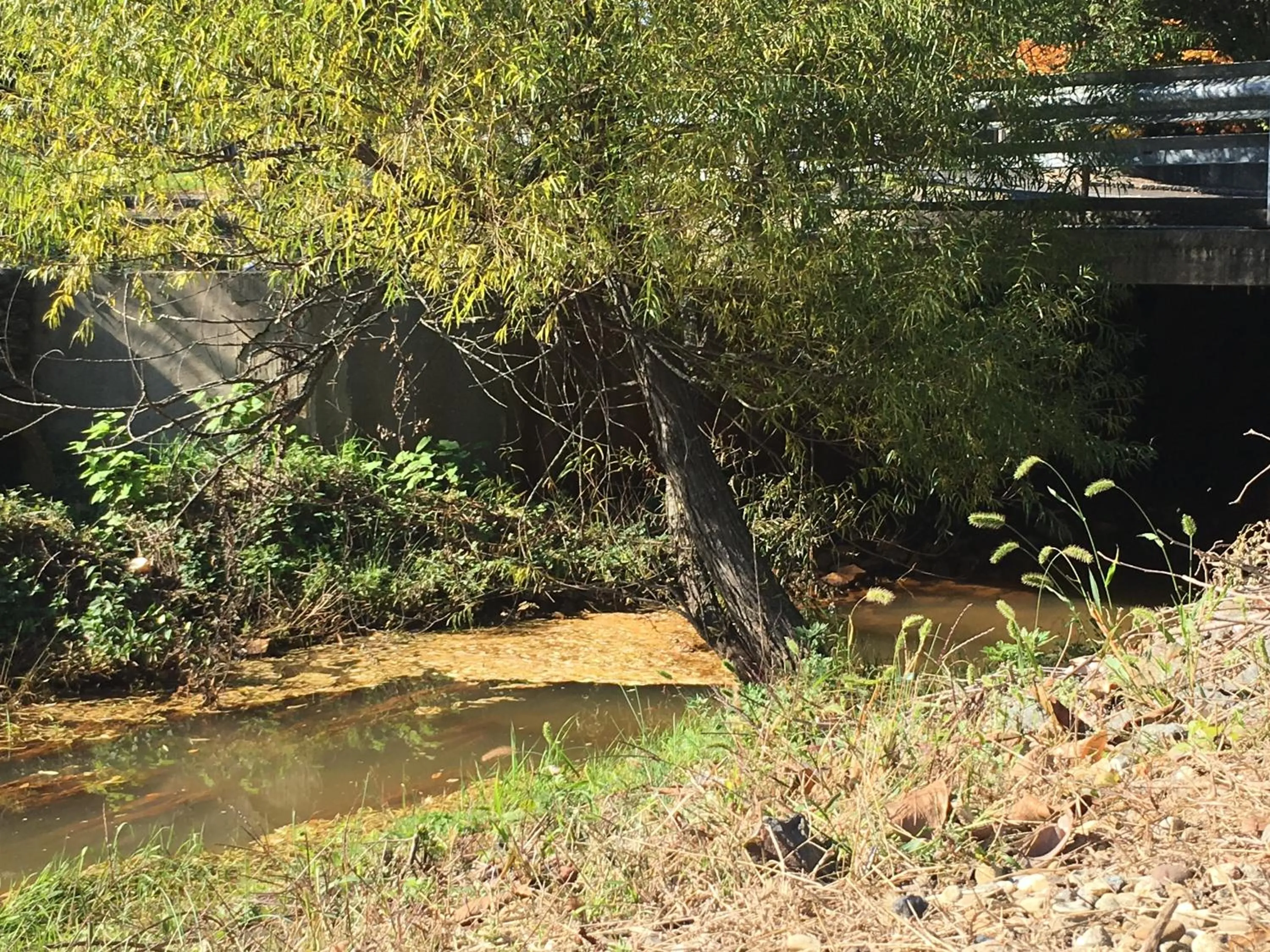 View (from property/room) in Colts Neck Inn Hotel
