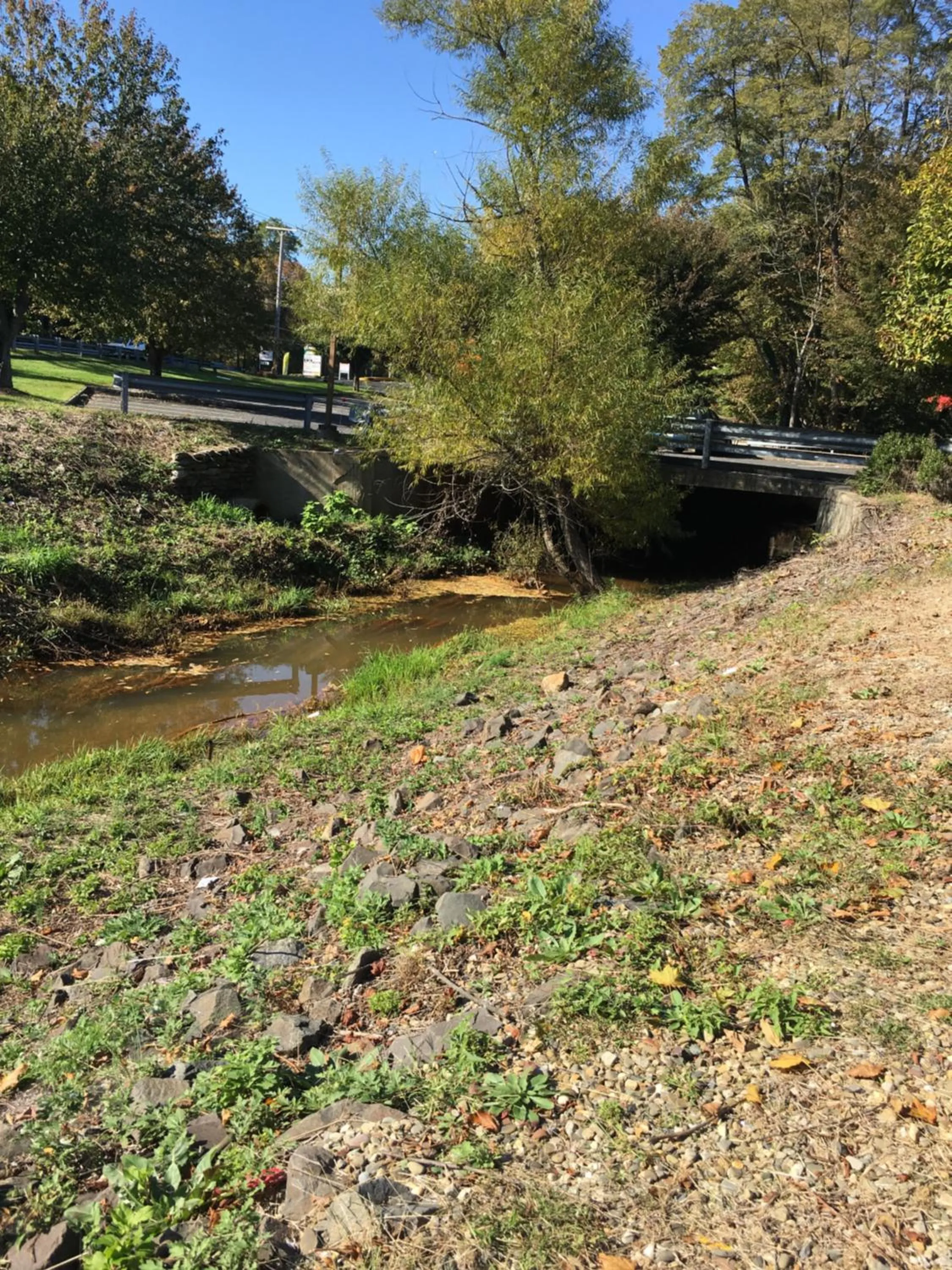 View (from property/room) in Colts Neck Inn Hotel