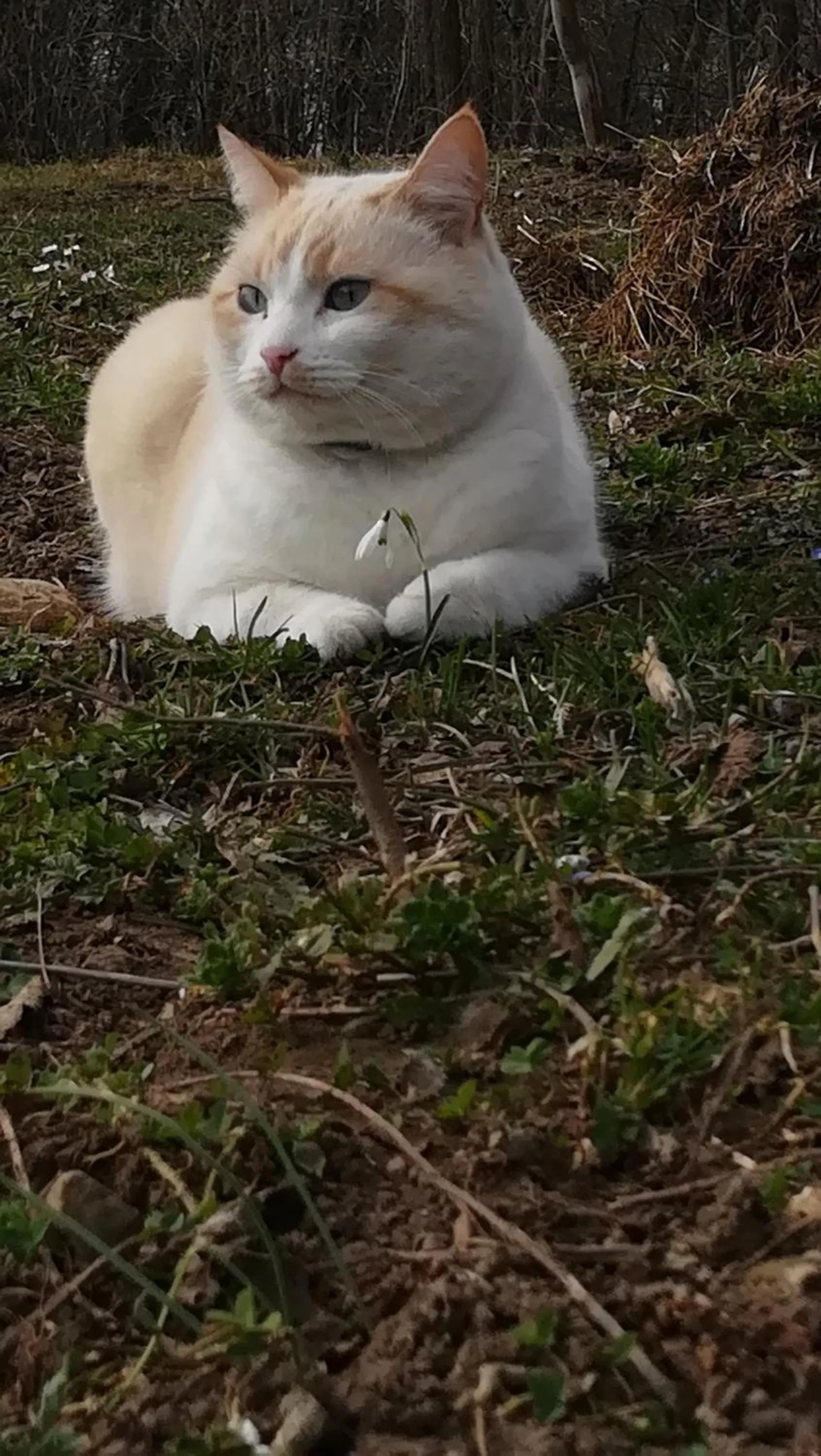 B&B Panorama Dolomiti