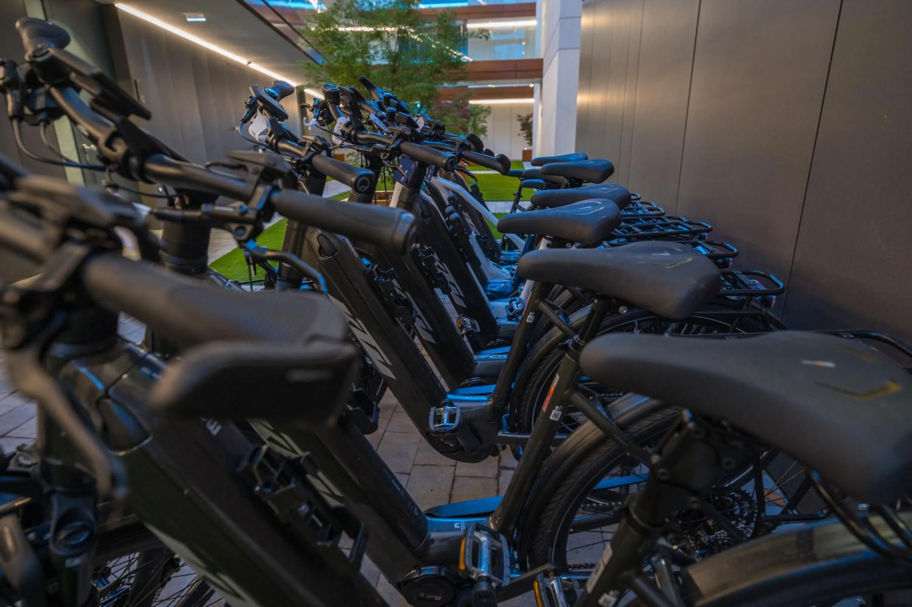 Cycling in BJ81 Suite Hotel