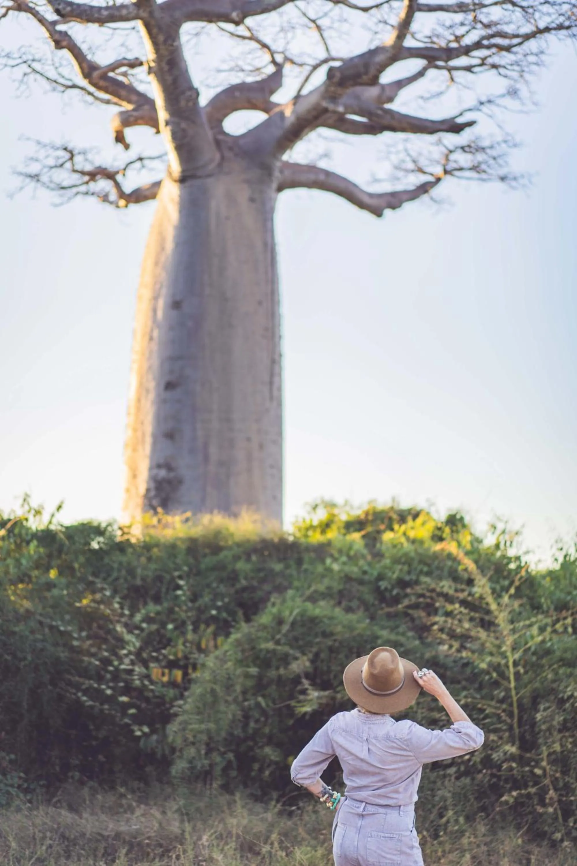 Hôtel Palissandre MORONDAVA