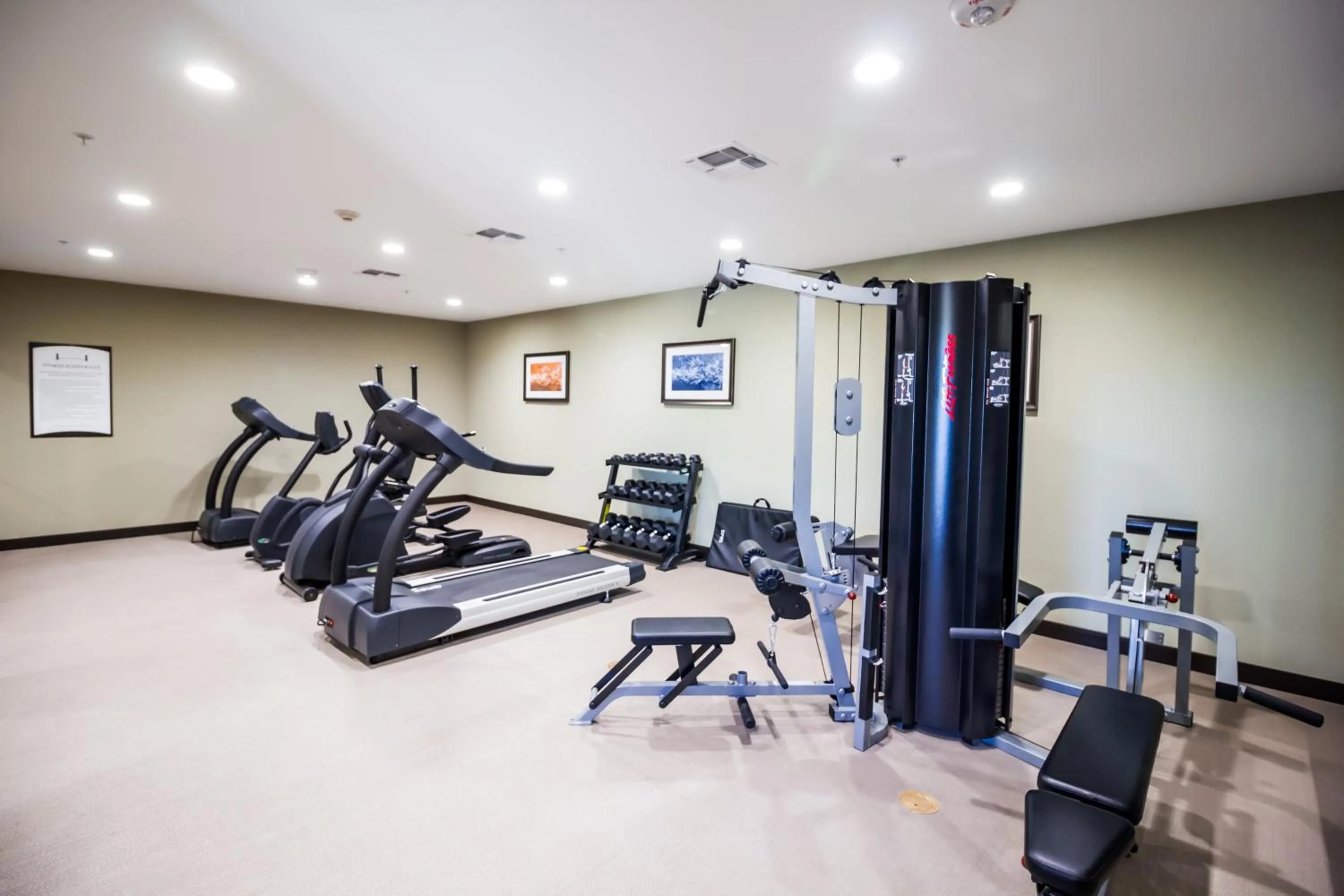 Fitness centre/facilities in Staybridge Suites Plano - Legacy West Area by IHG