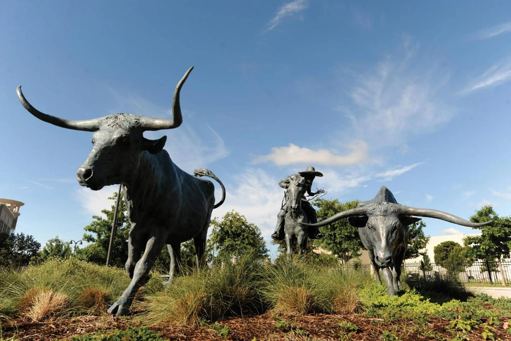 Area and facilities in Staybridge Suites Plano - Legacy West Area by IHG