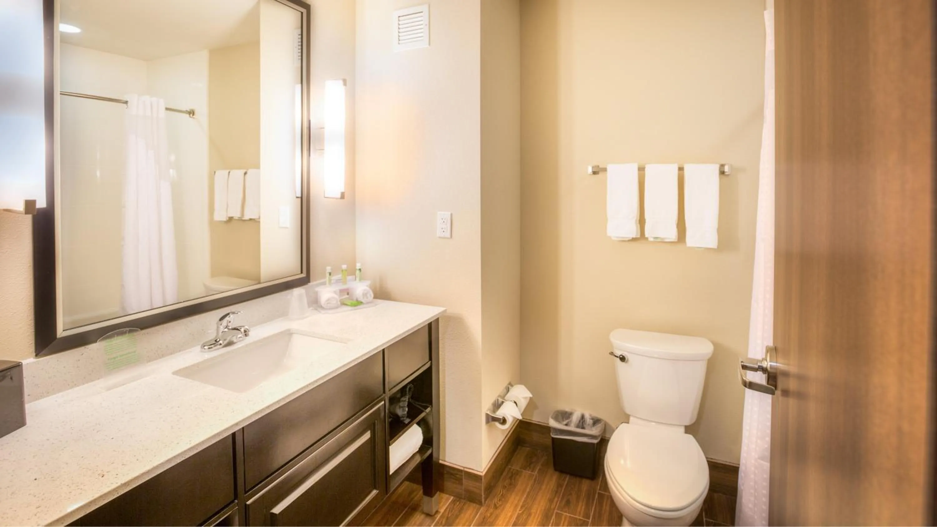 Bathroom in Holiday Inn Express Wichita South by IHG
