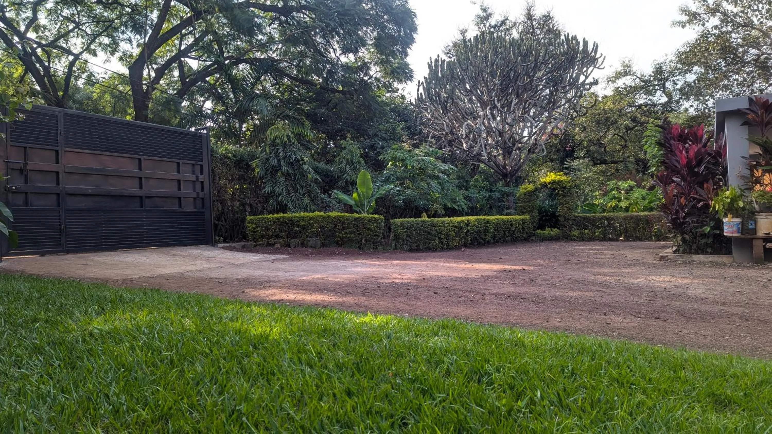 Spring in JACARANDA HOMESTAY