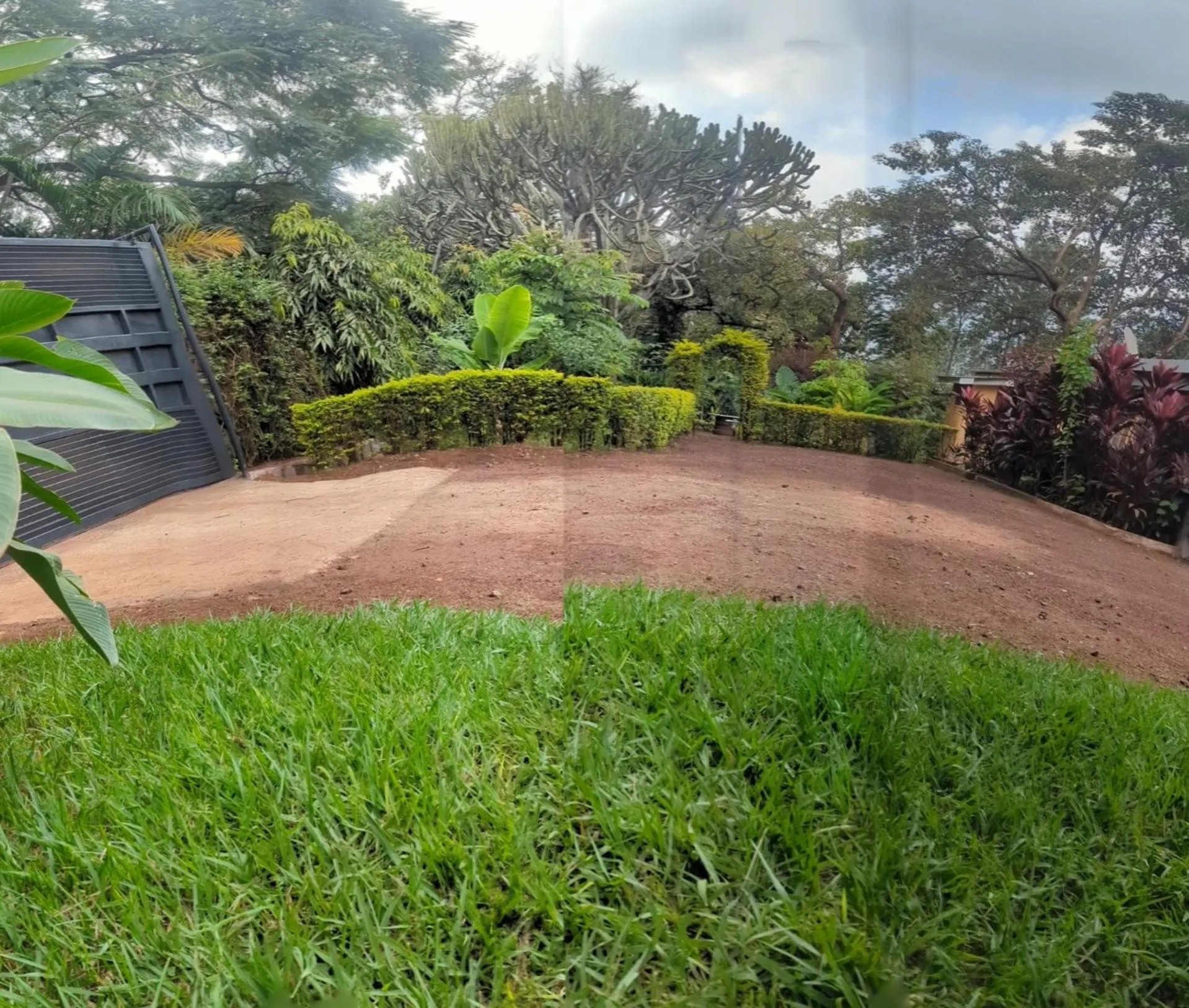 Garden in JACARANDA HOMESTAY