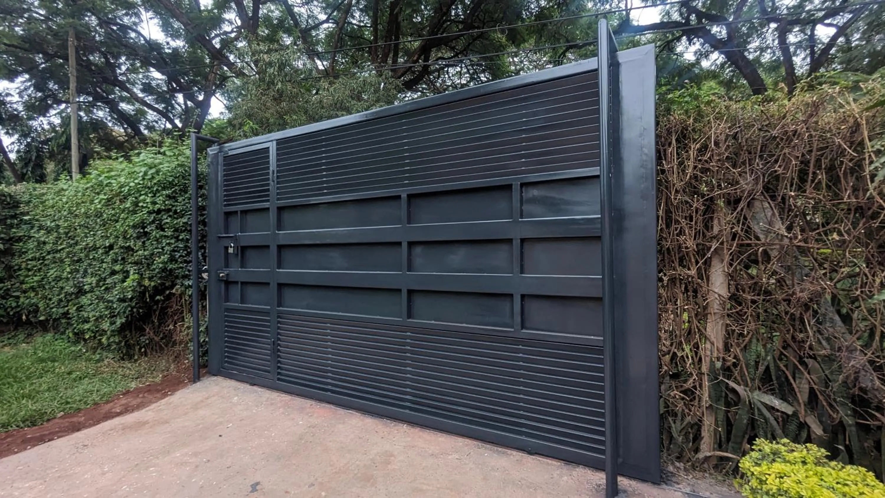 Day in JACARANDA HOMESTAY