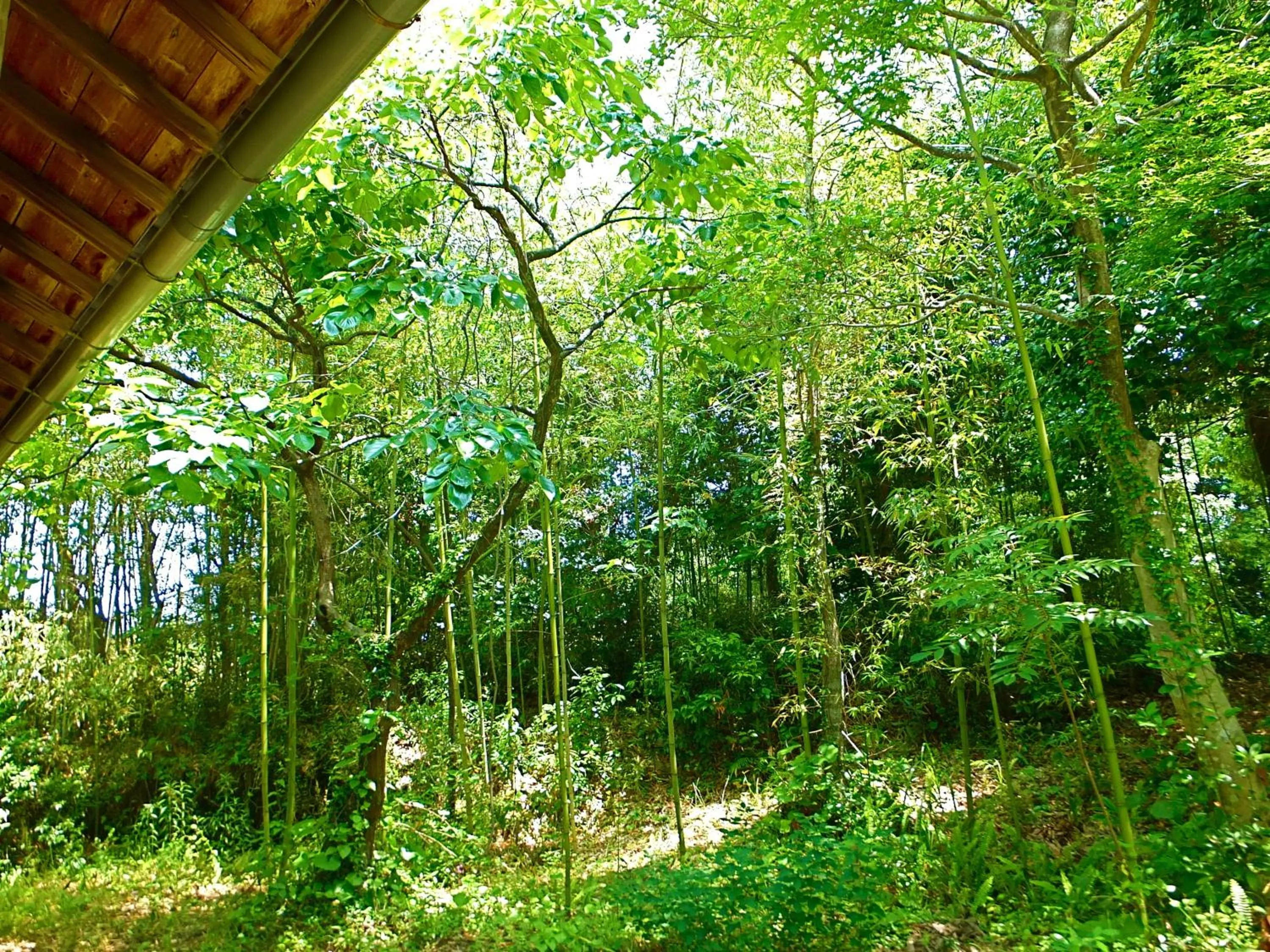 View (from property/room) in Kominka Sharehouse Hooju