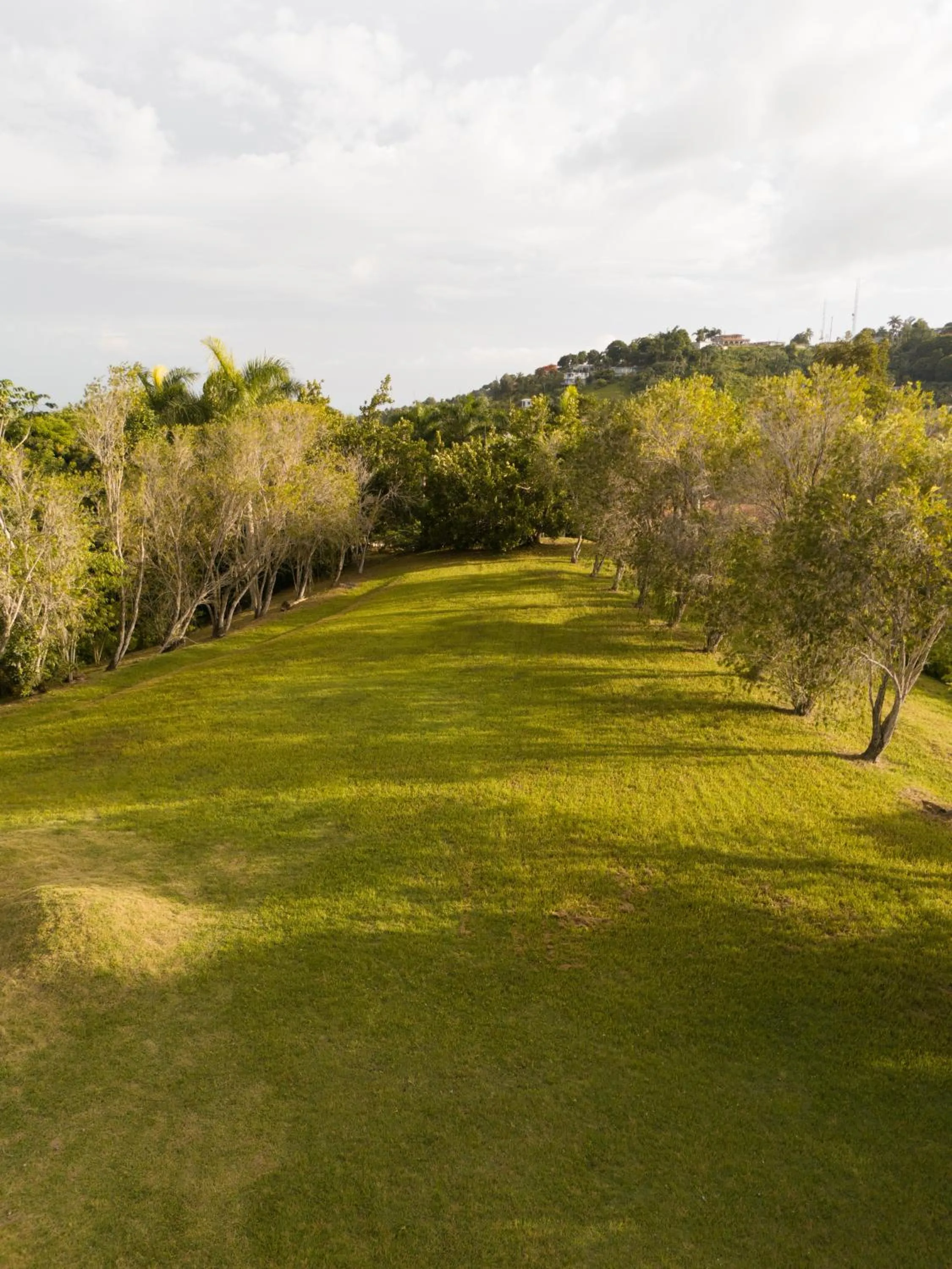 Spring in El Oasis Hotel