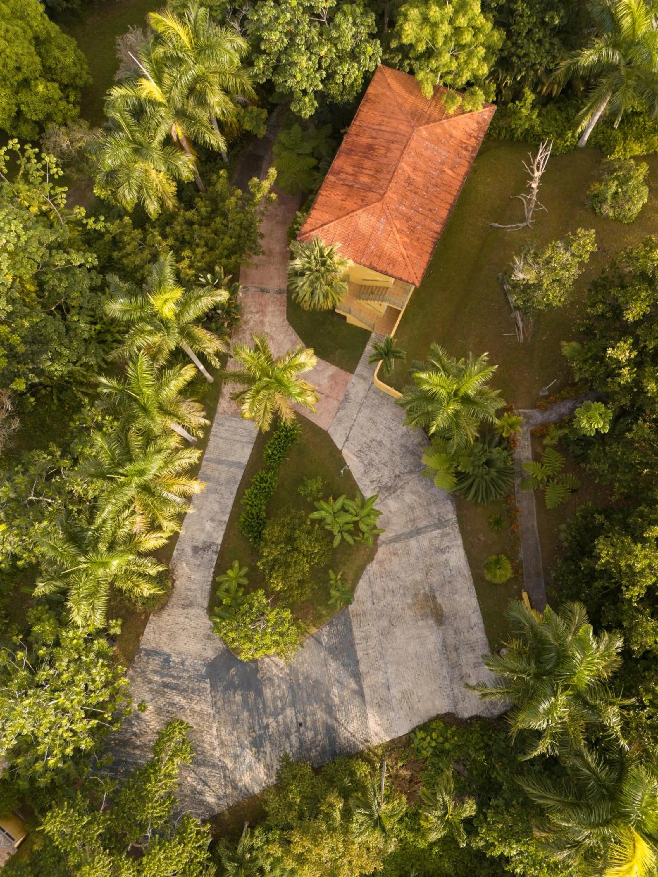 Bird's eye view in El Oasis Hotel