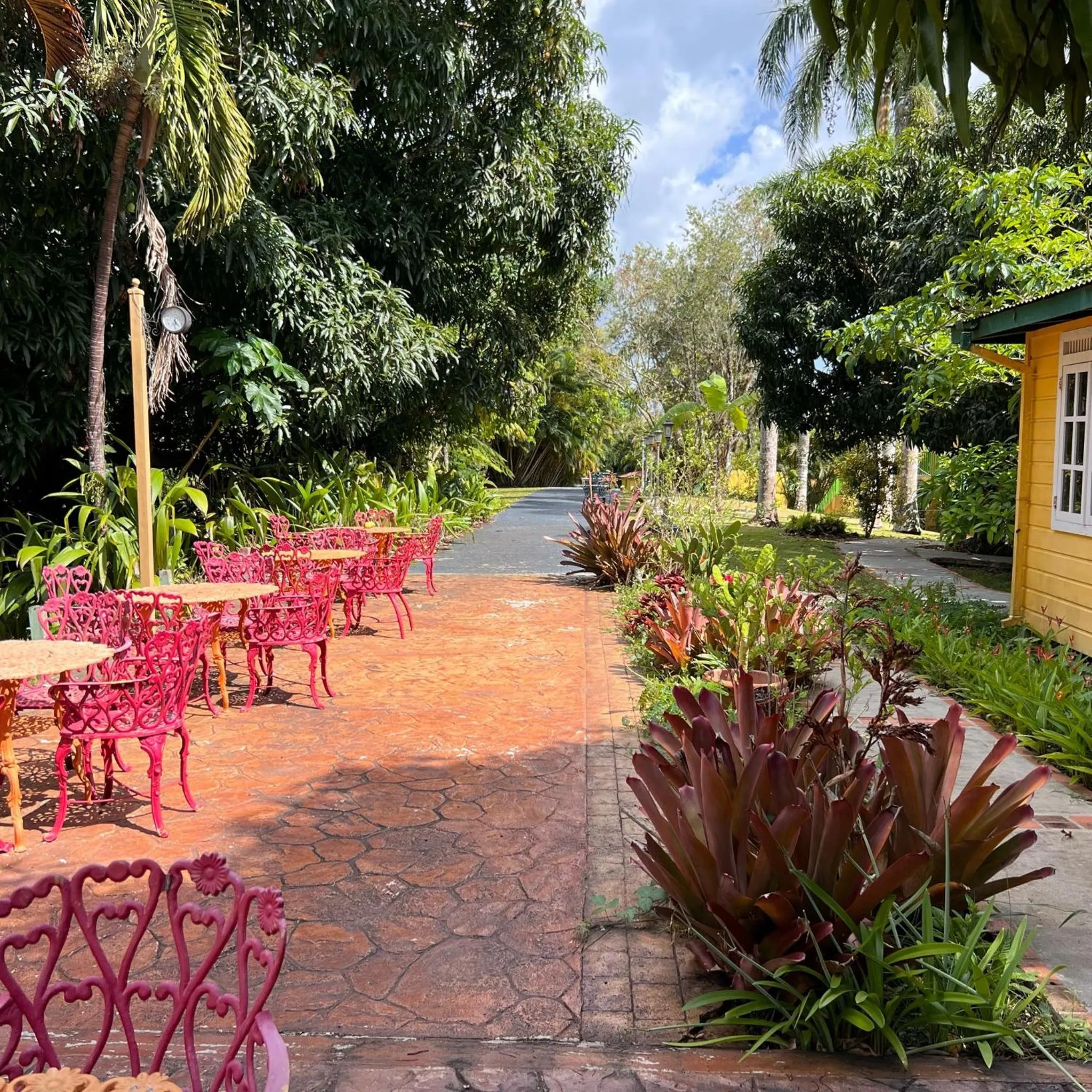 Garden in El Oasis Hotel