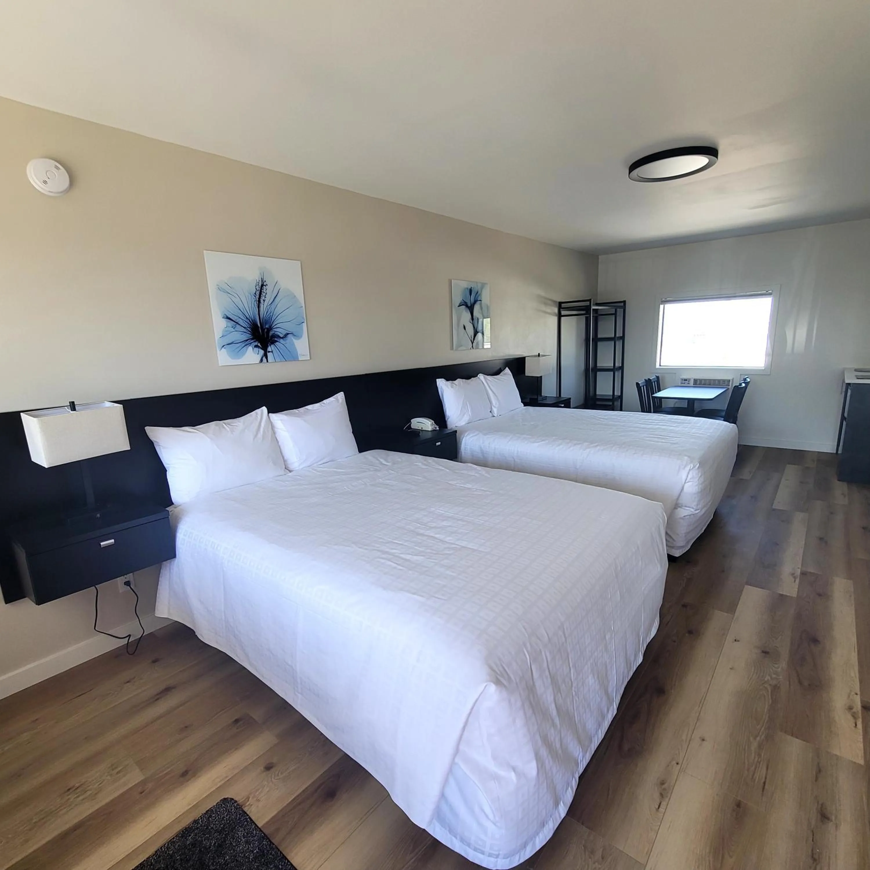 Bed in Richland Inn and Suites