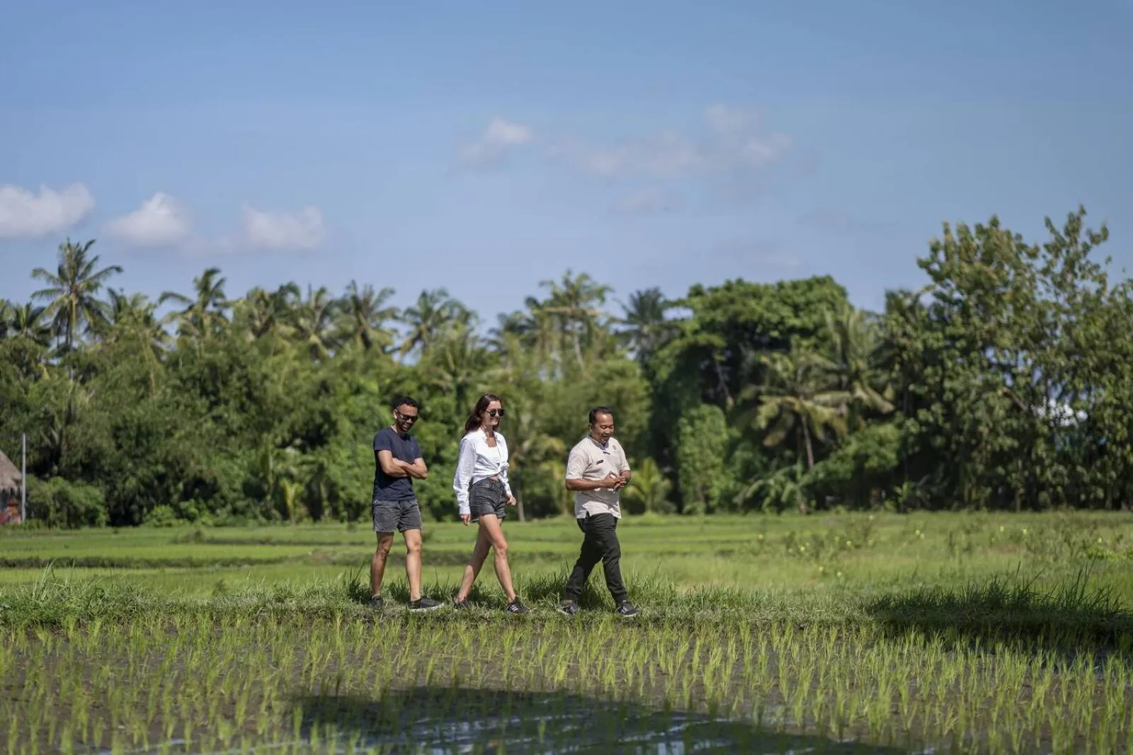 Natural landscape in Unagi Wooden Villas by Emana