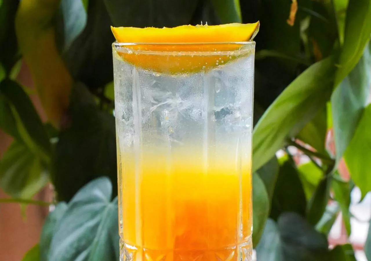 Drinks in Unagi Wooden Villas by Emana