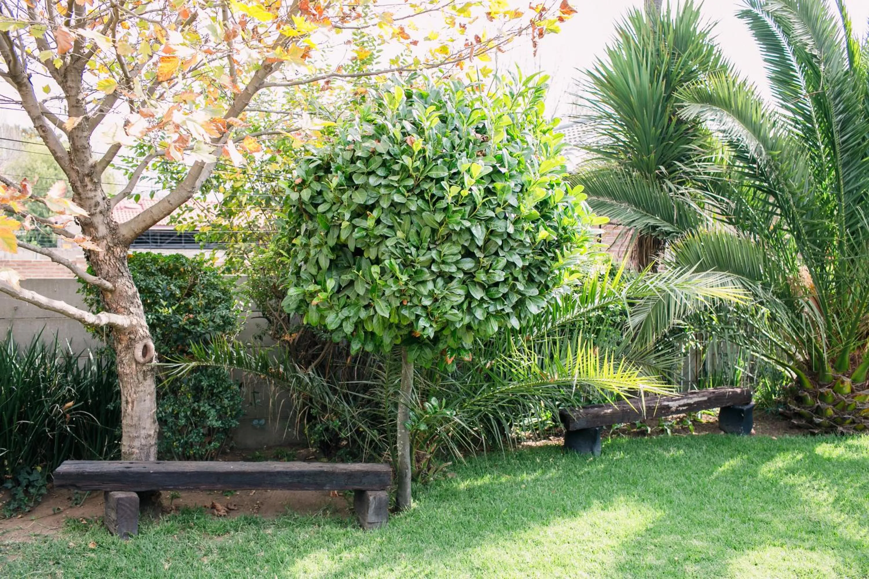 Garden in Pennylane Guest House