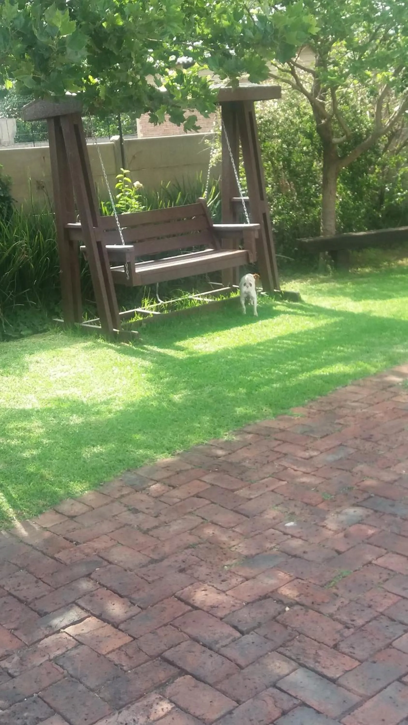 Garden in Pennylane Guest House