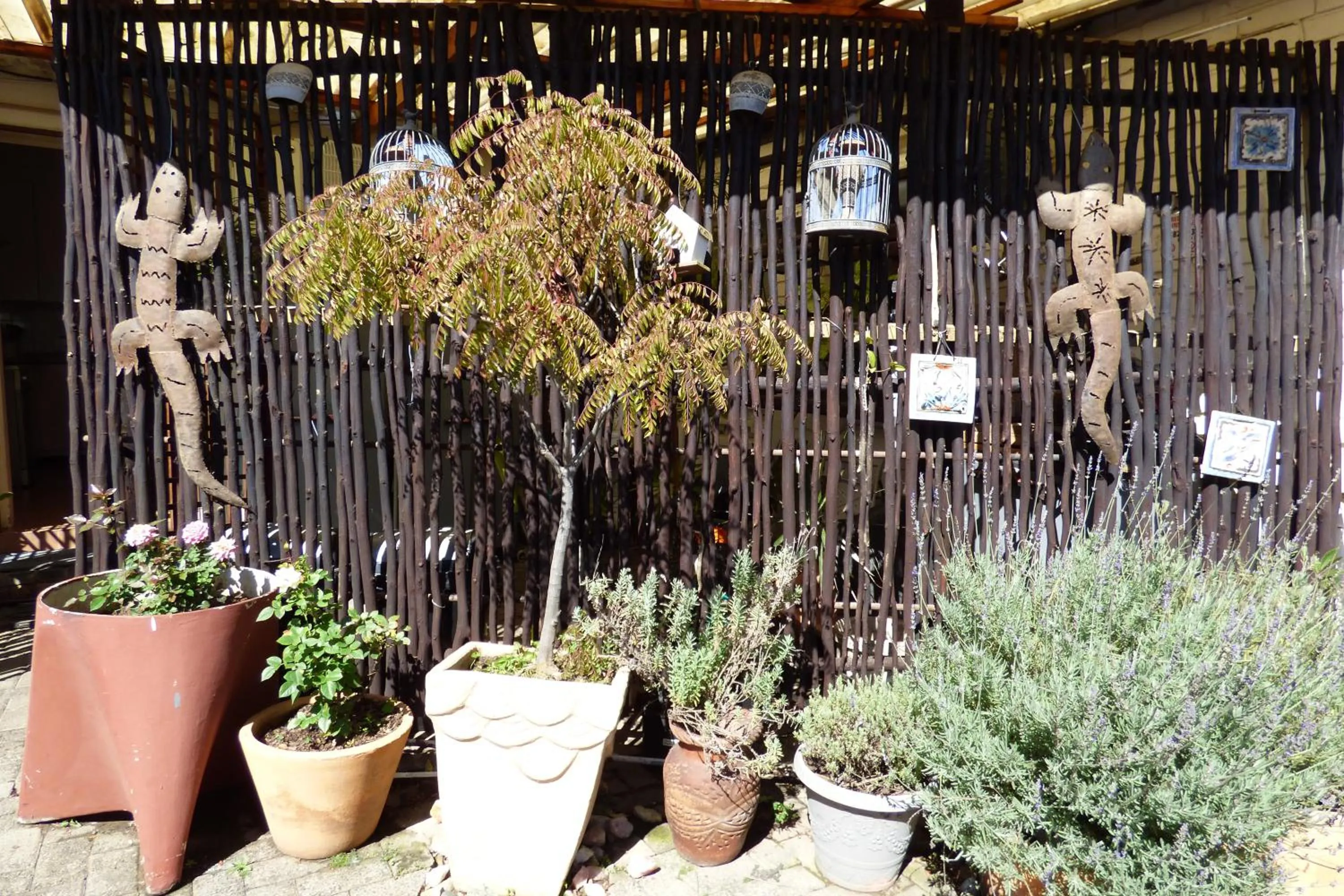 Property building in Pennylane Guest House