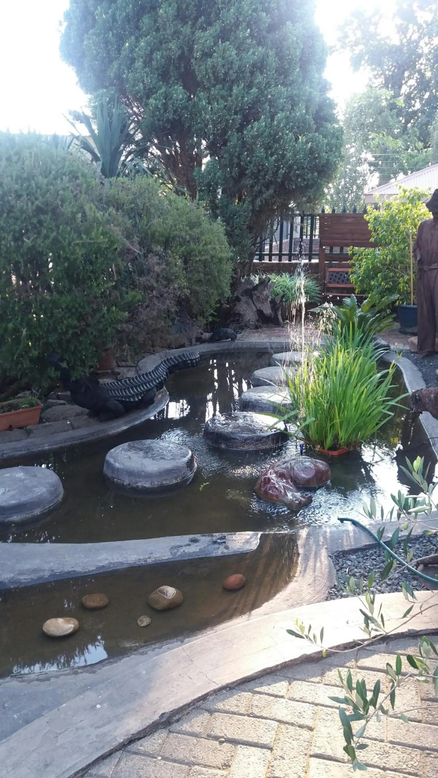 Garden in Pennylane Guest House