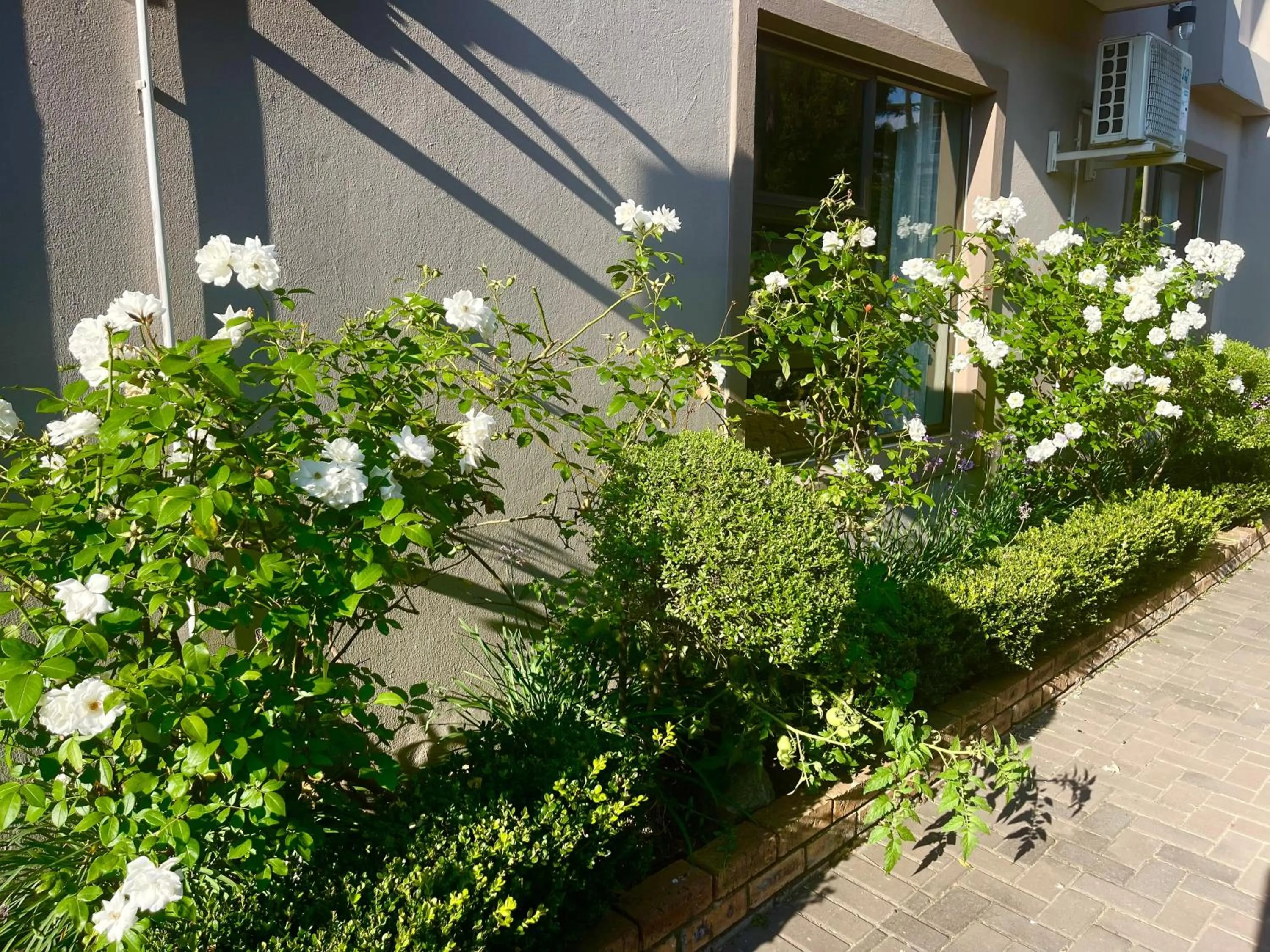 Azinnia Rivonia Guest House