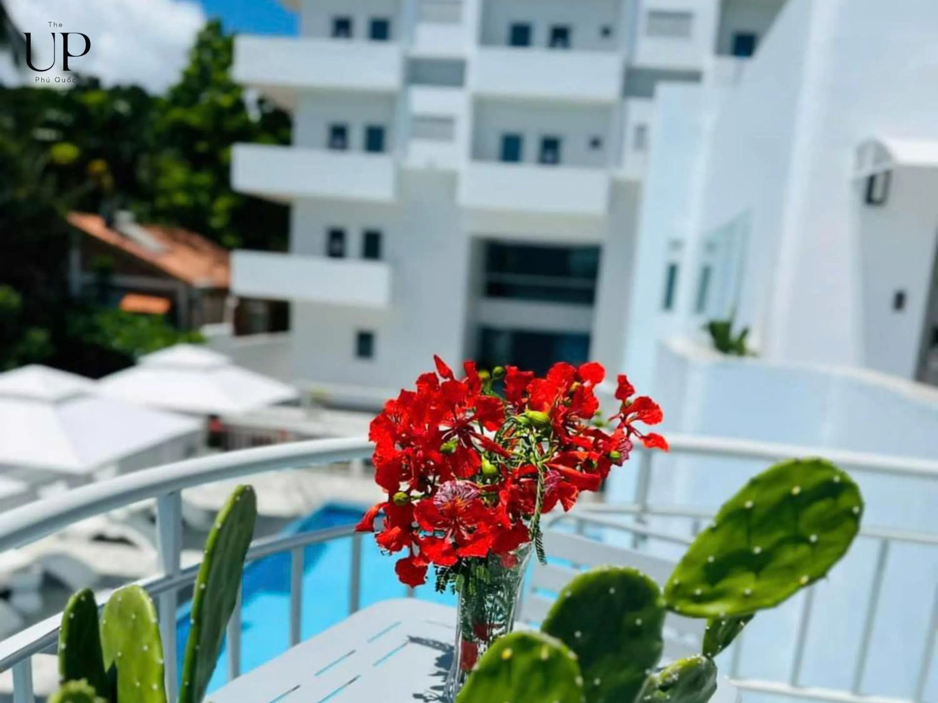 Property building in The Up Phu Quoc