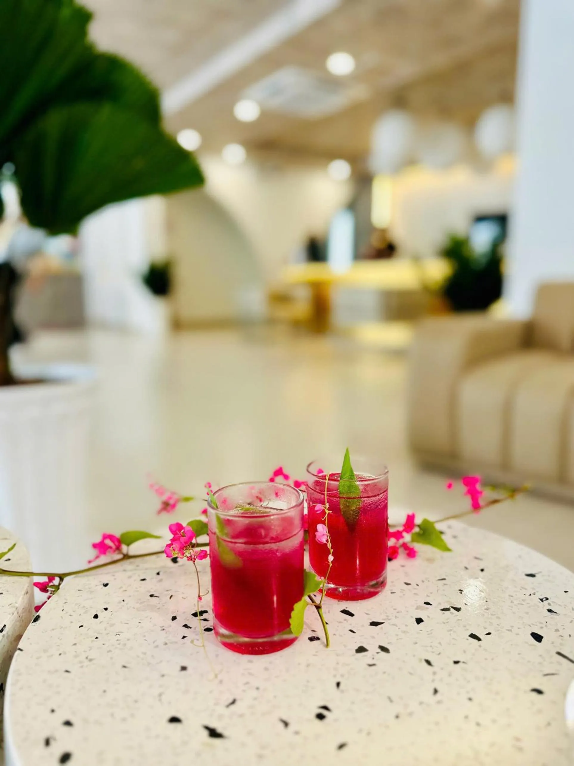 Restaurant/places to eat in The Up Phu Quoc