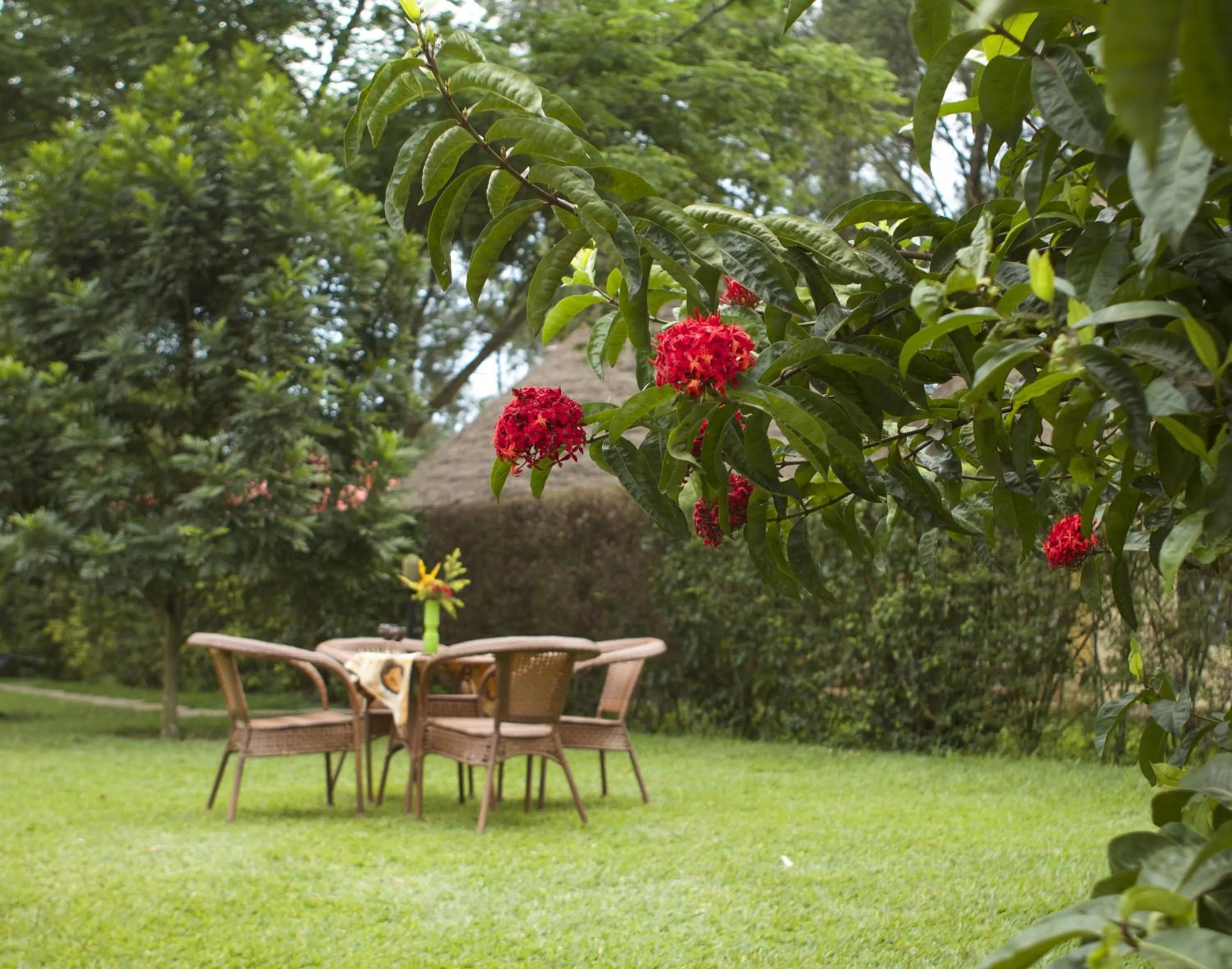 Garden in Olive Gardens Hotel Kampala