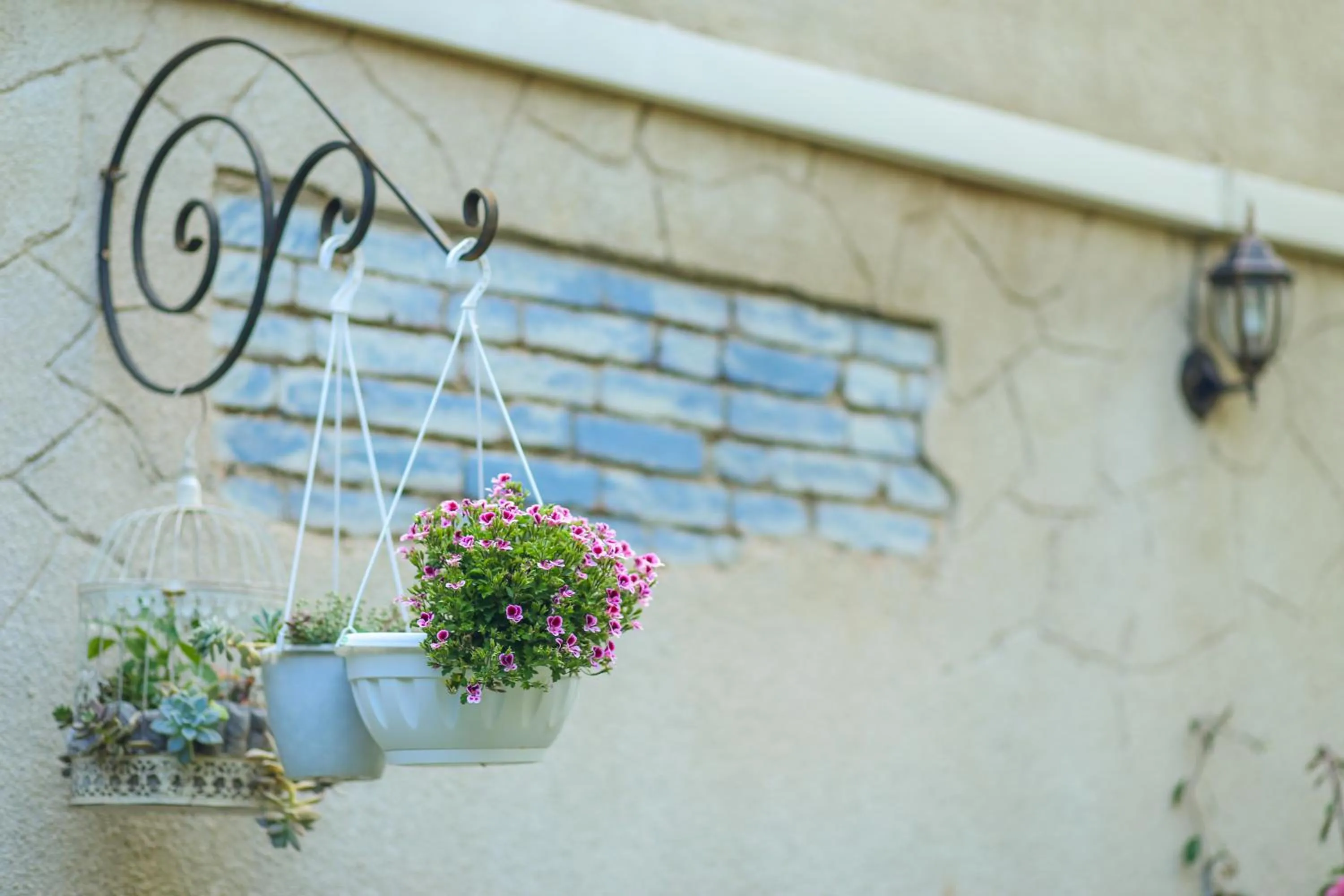Garden in Kenari Hotel