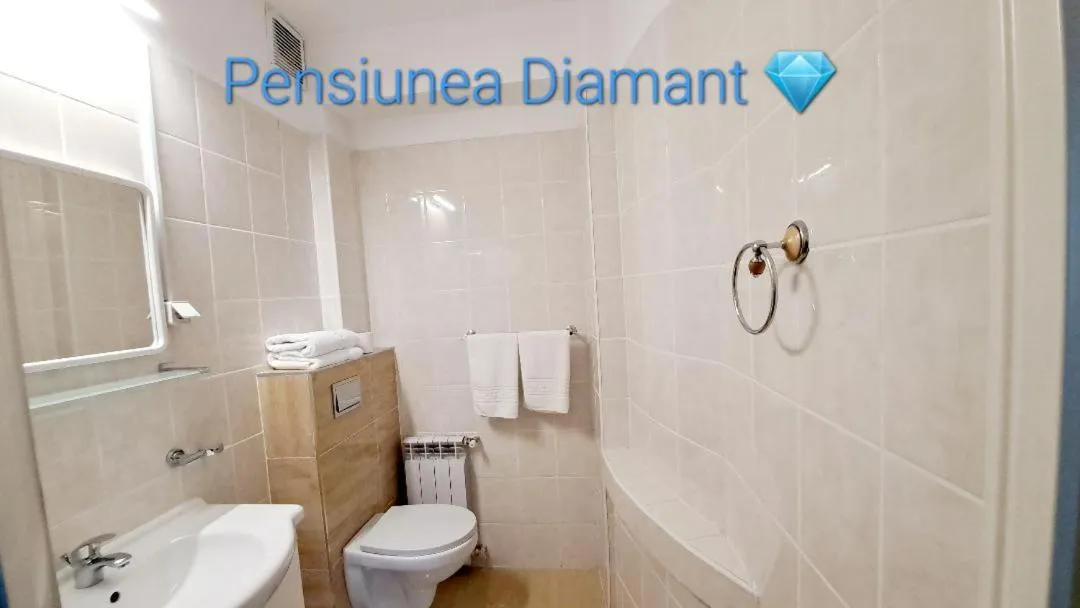 Toilet in Pensiunea Diamant
