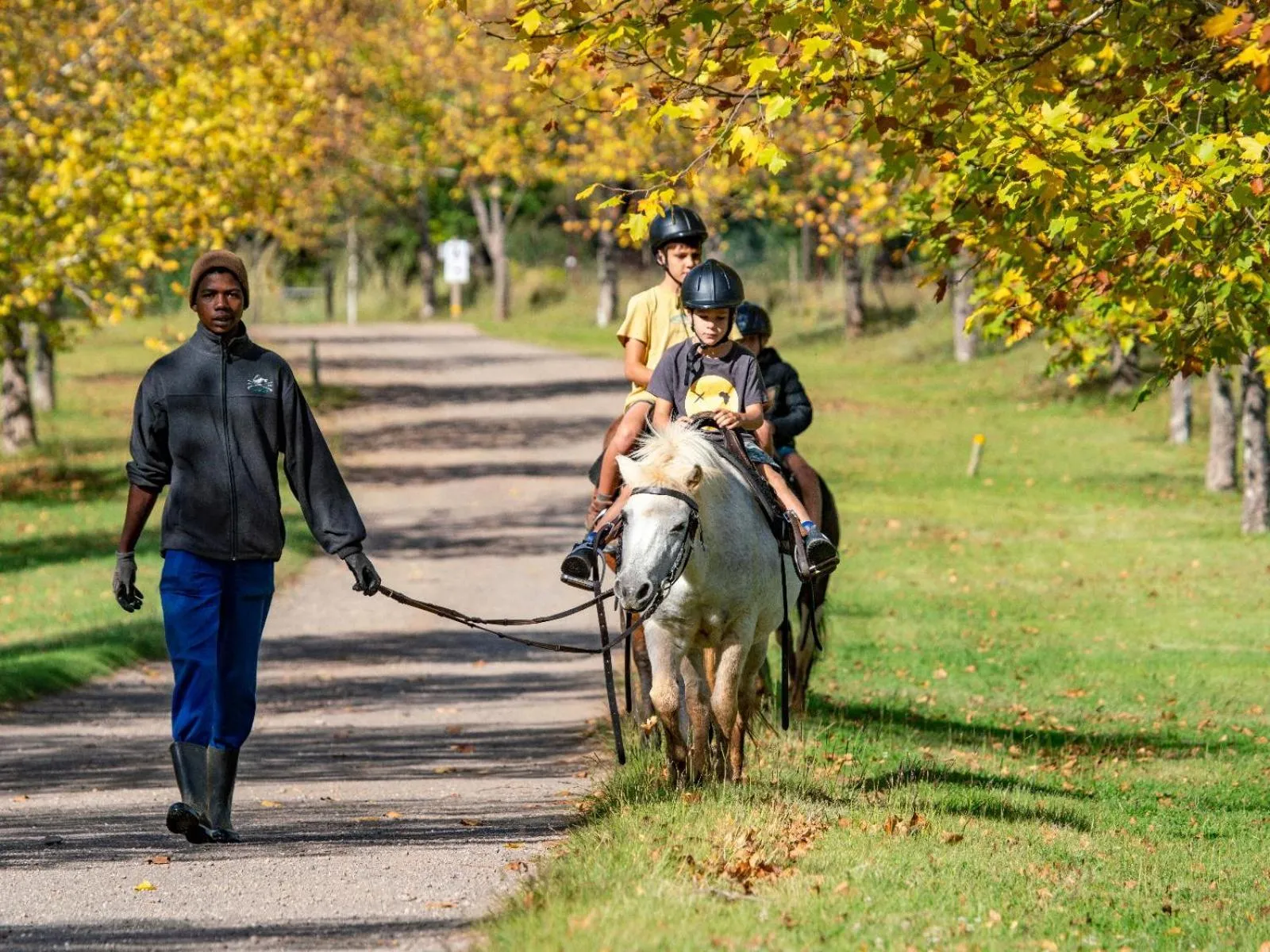 Natural landscape in Lake Naverone Holiday Cottages