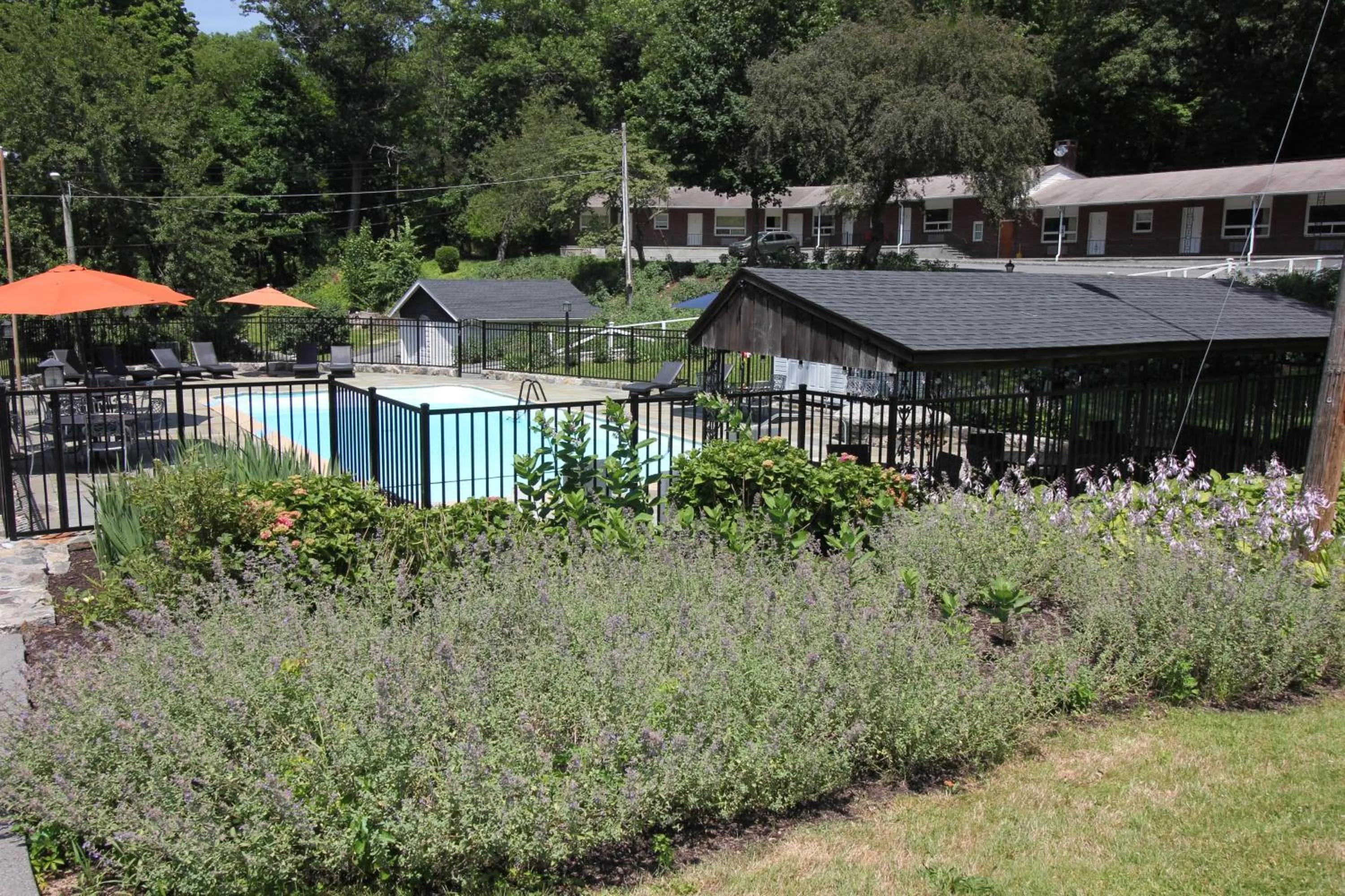 Swimming pool in Heidi's Inn