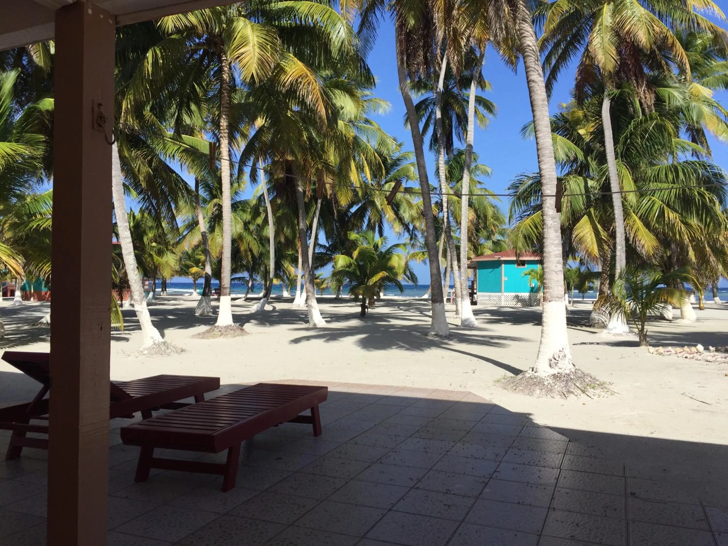 Patio in Blue Marlin Beach Resort
