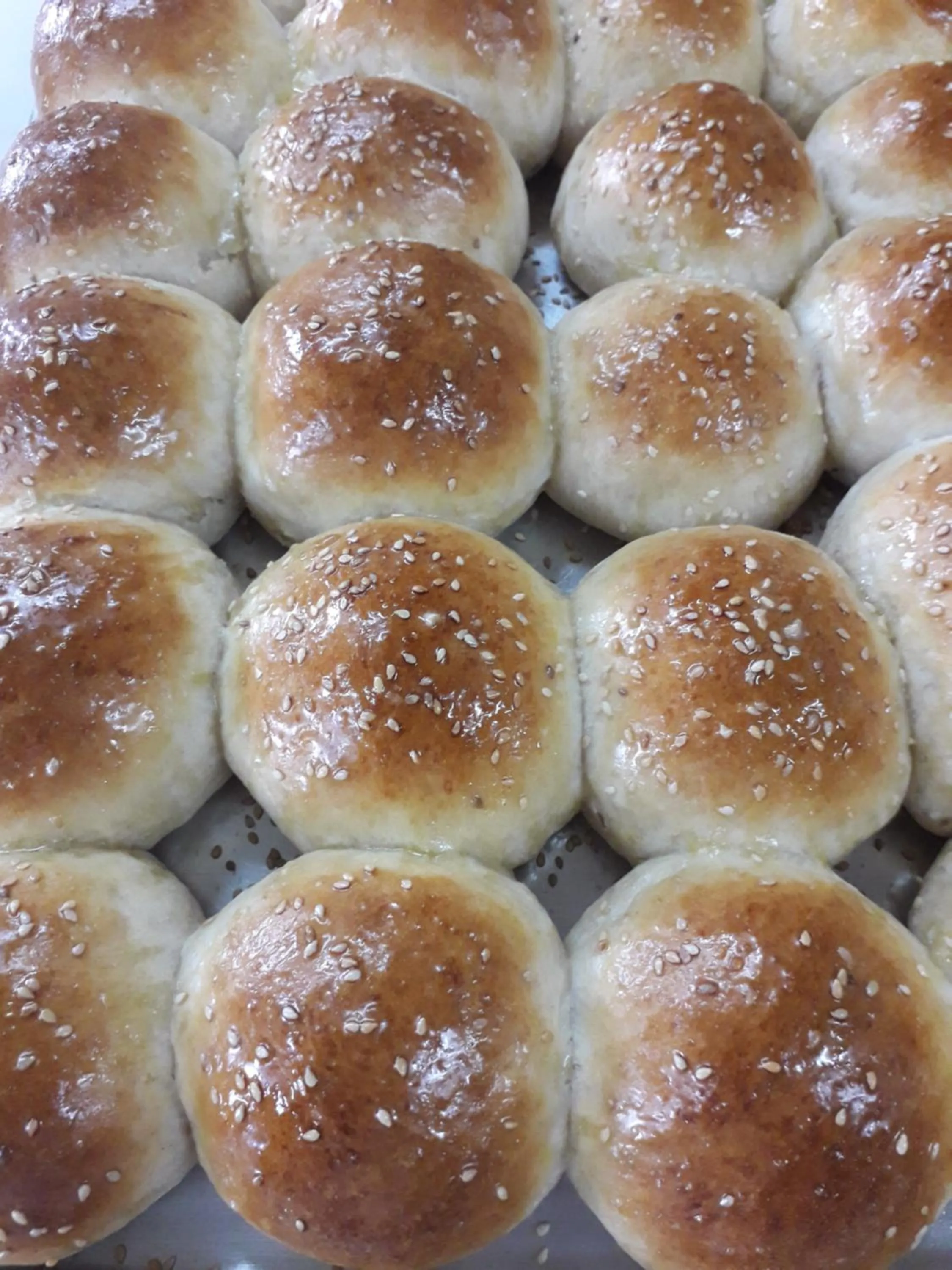 Blue Marlin Beach Resort