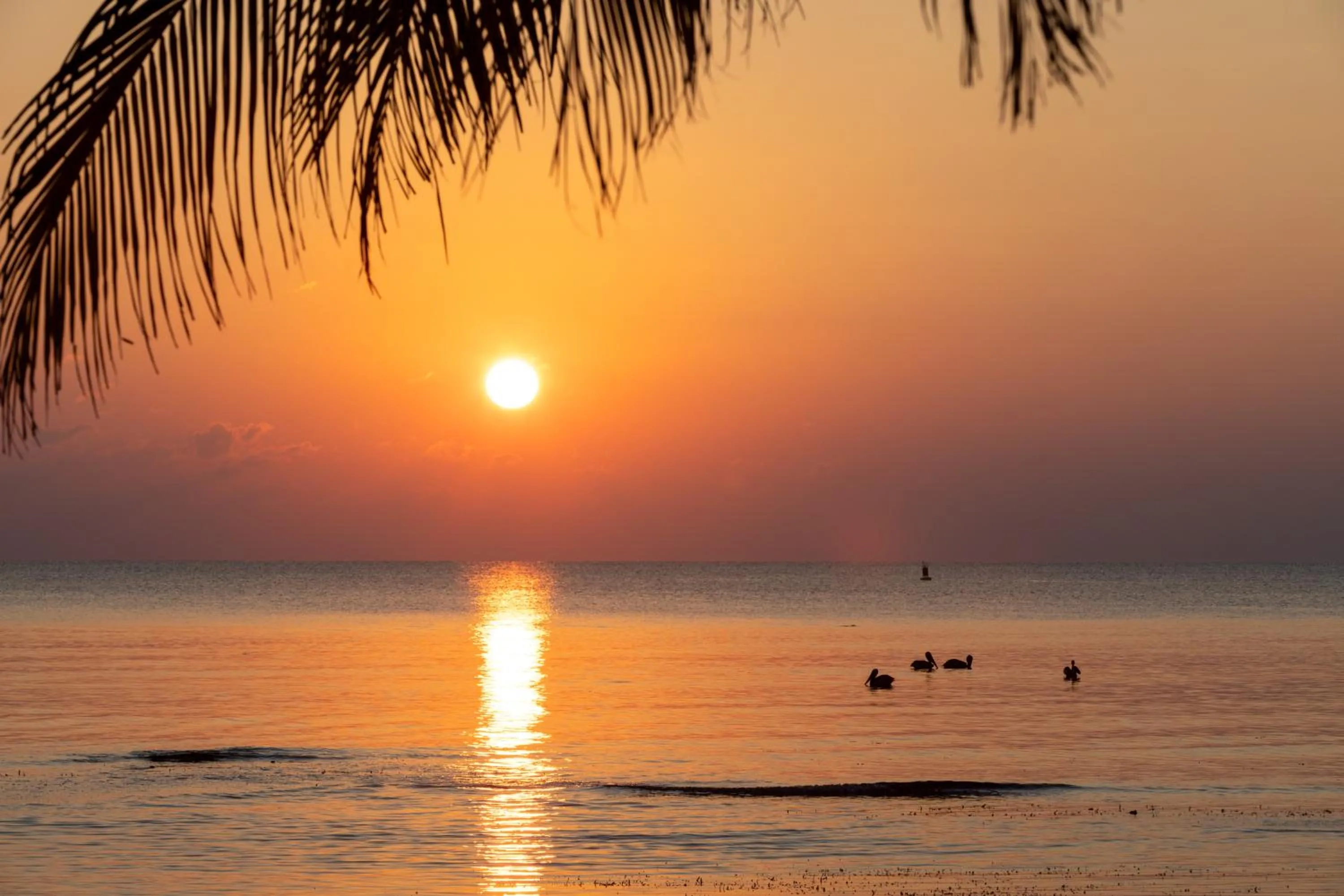 Blue Marlin Beach Resort