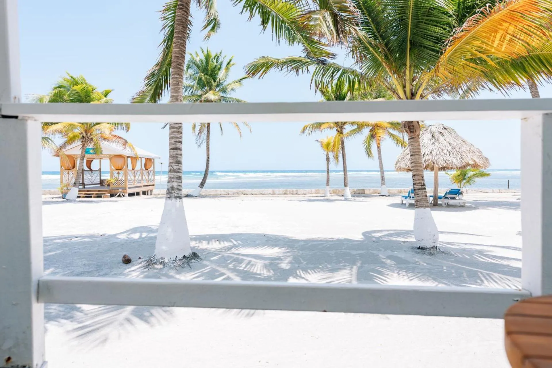 Natural landscape in Blue Marlin Beach Resort