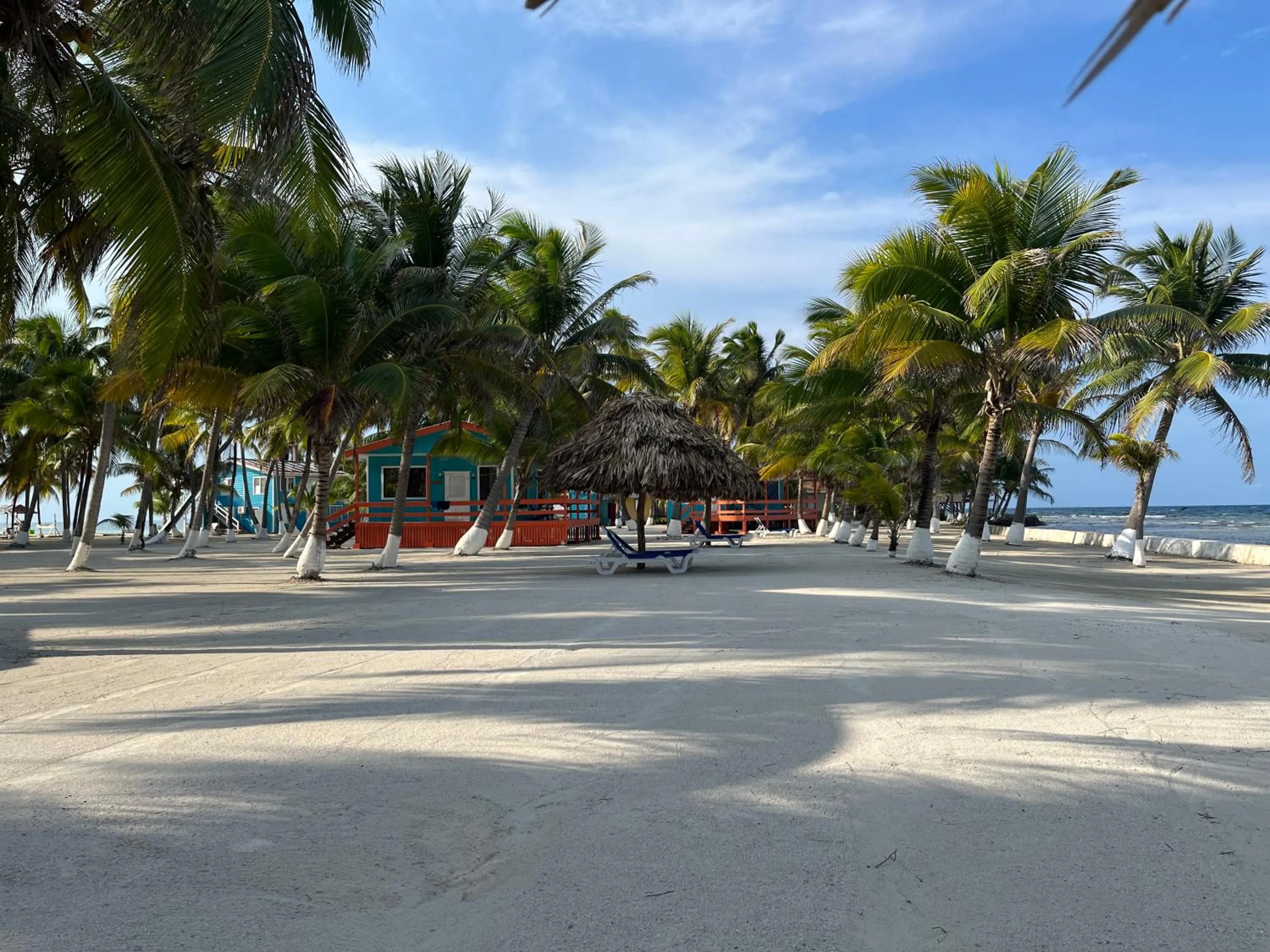 Natural landscape in Blue Marlin Beach Resort