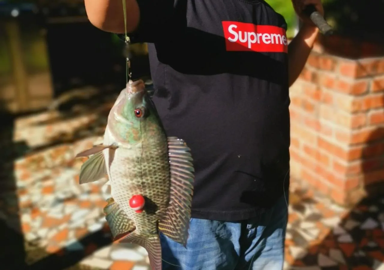 Fishing in Al Sakinah Resort