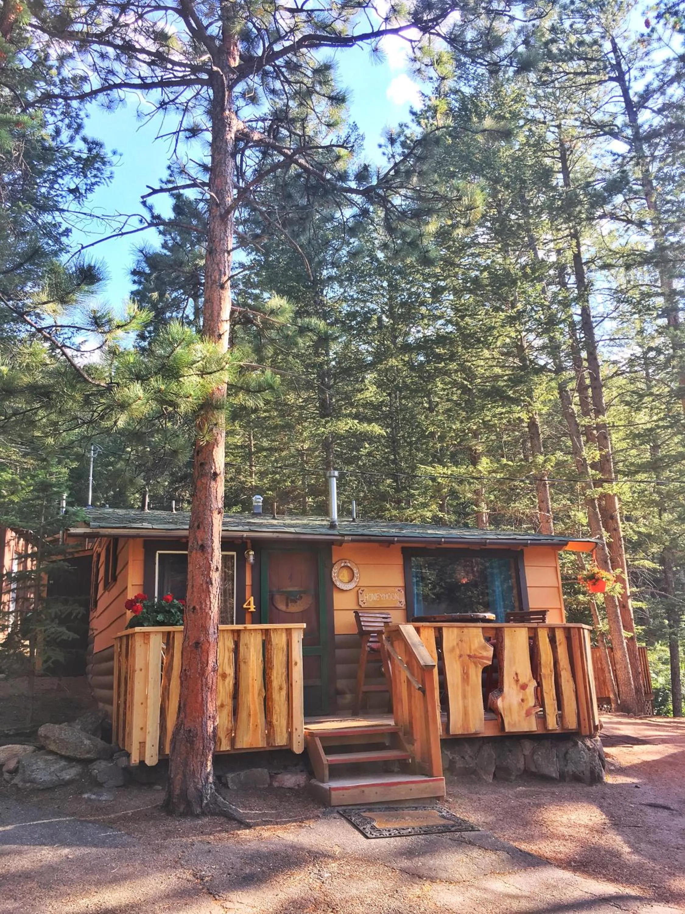 Photo of the whole room in Pine Haven Resort