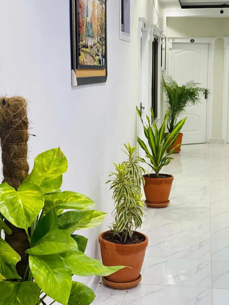 Property building in Moven Inn Hotel Islamabad