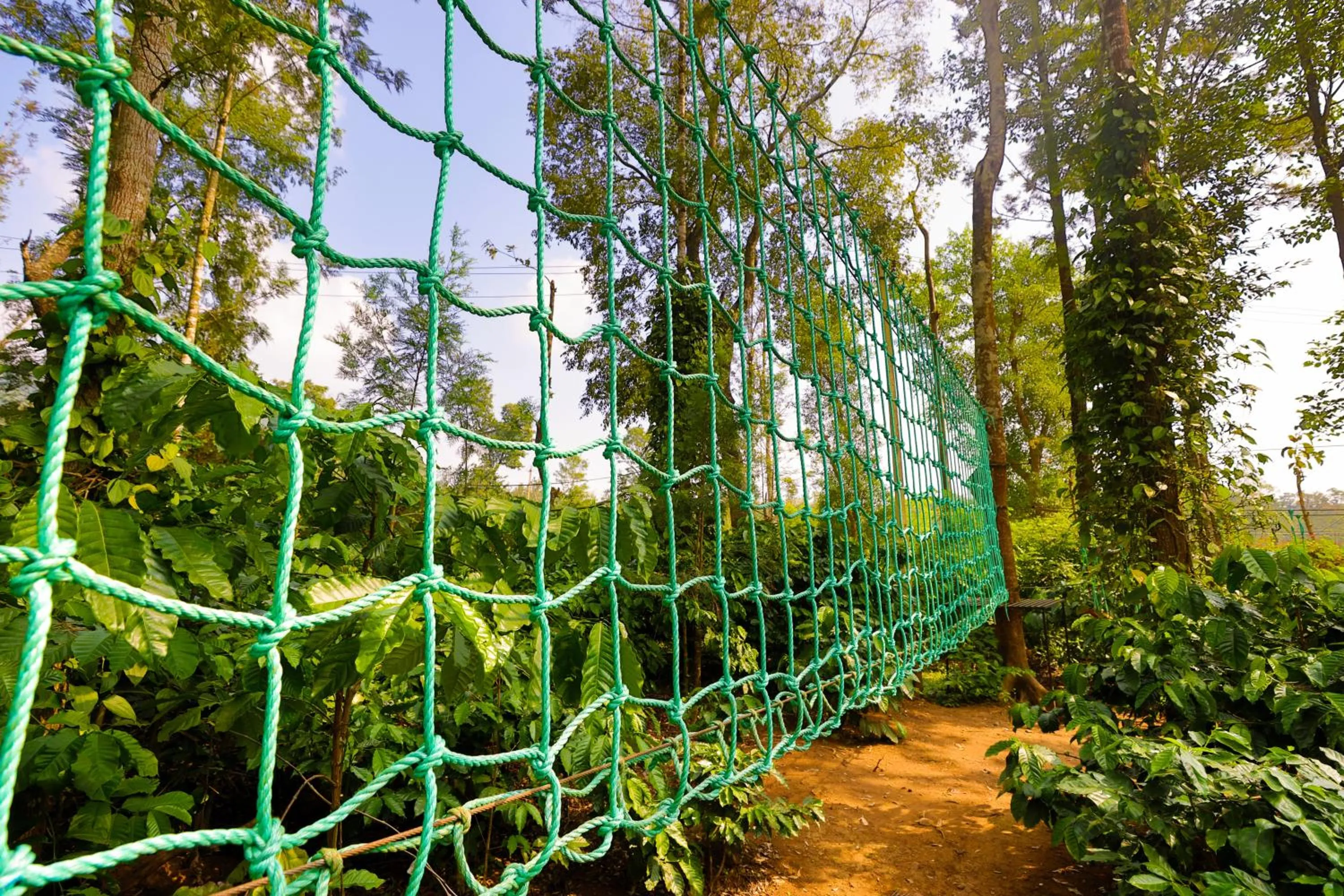 Activities in The Grand Retreat - Chikmagalur