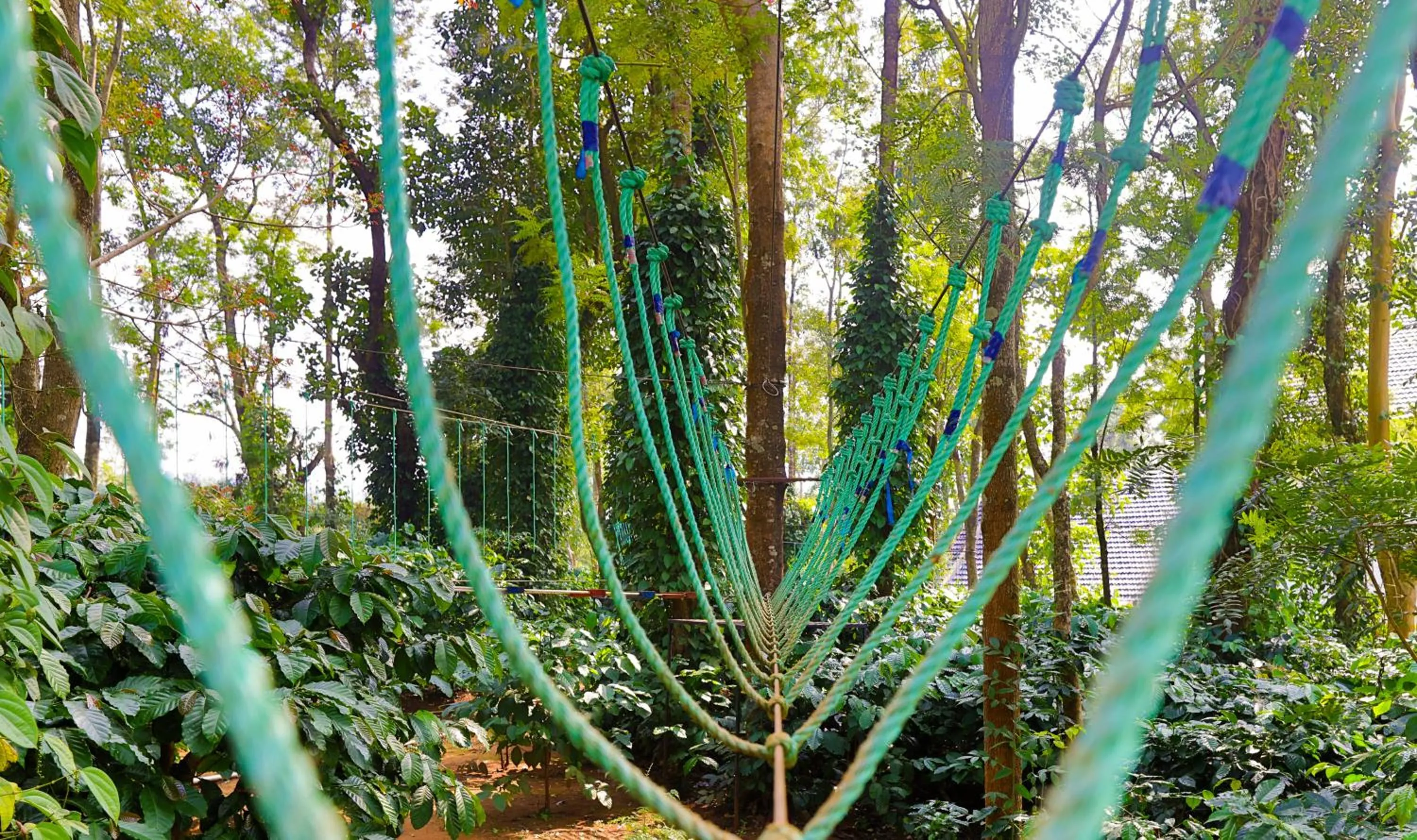 Activities in The Grand Retreat - Chikmagalur